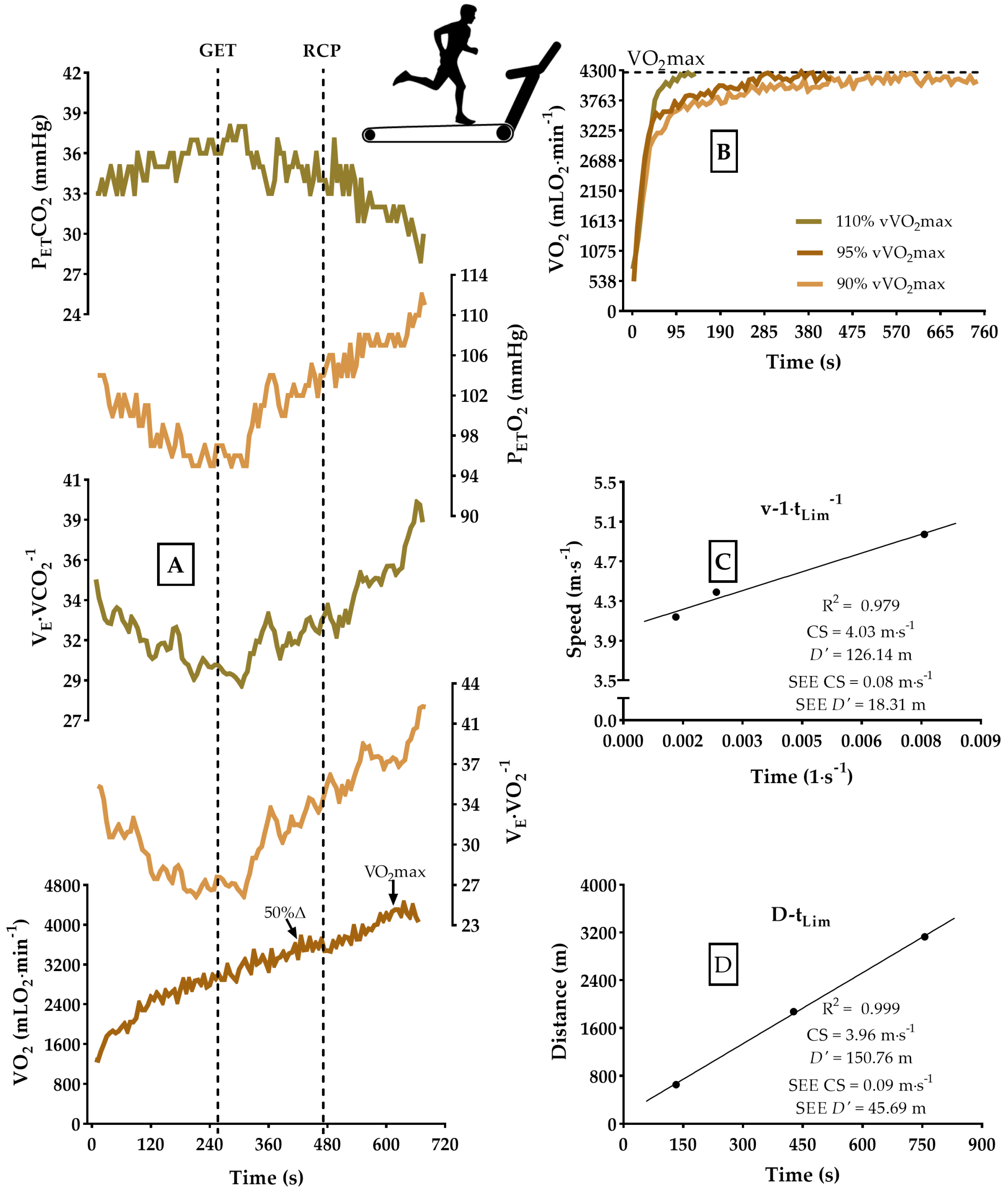 Sports 13 00167 g001