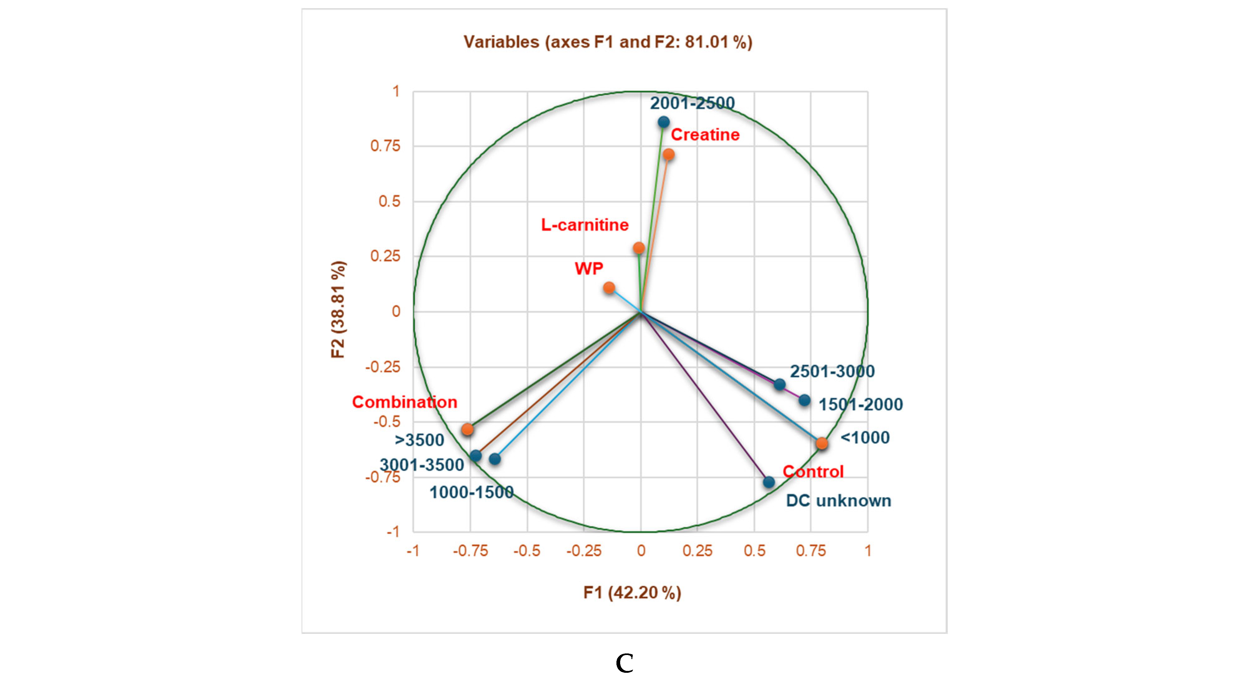 Sports 13 00182 g002b Sports 13 00182 g002b