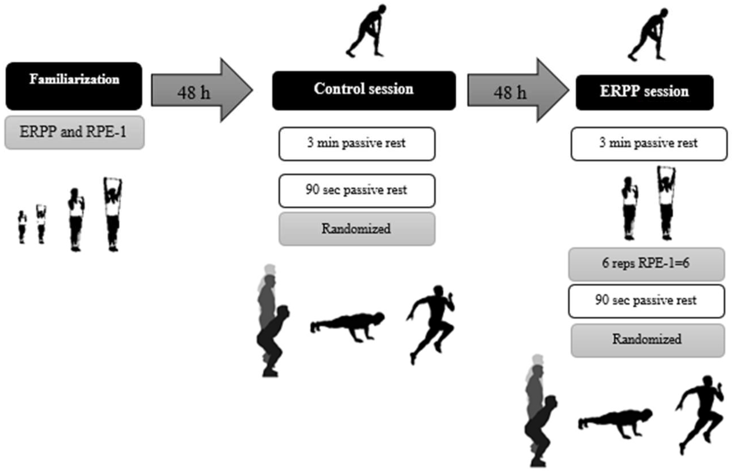 Sports 13 00183 g001