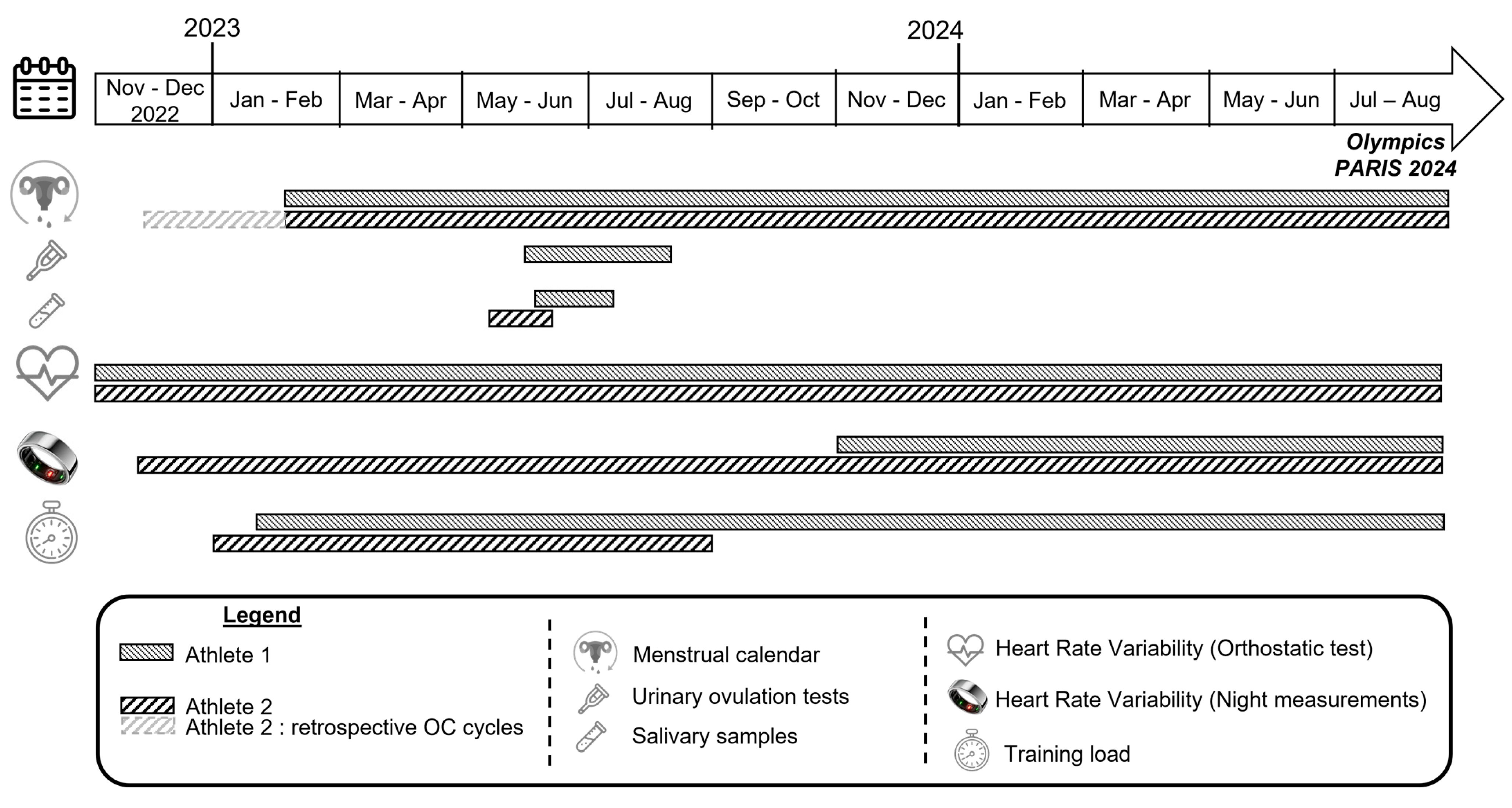 Sports 13 00185 g001