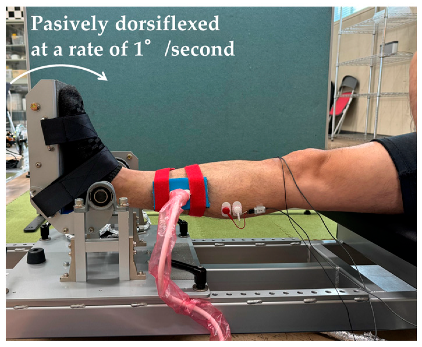 Sports 13 00188 g002