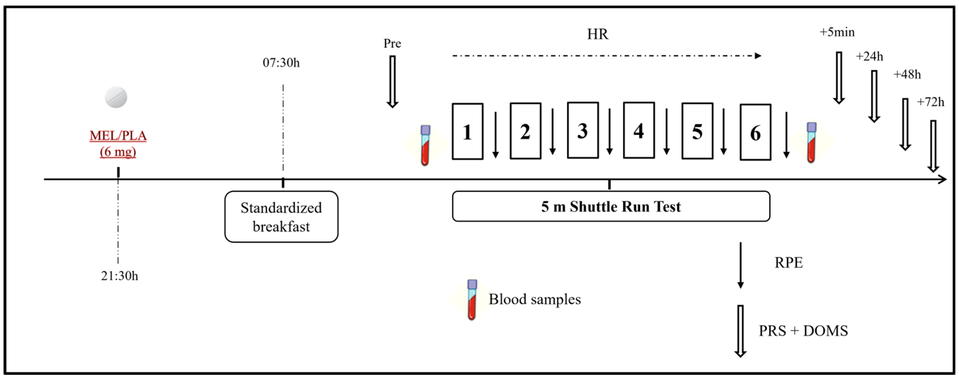 Sports 13 00190 g002