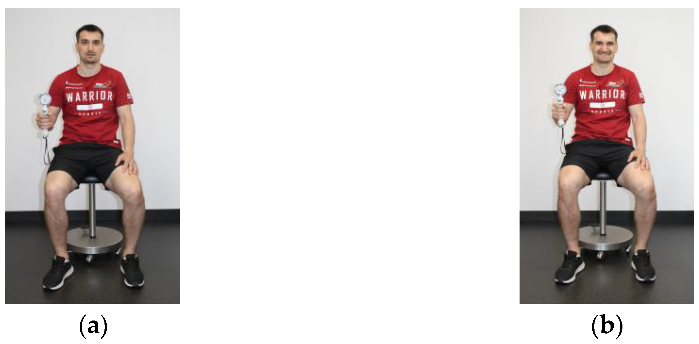 Sports 13 00206 g002