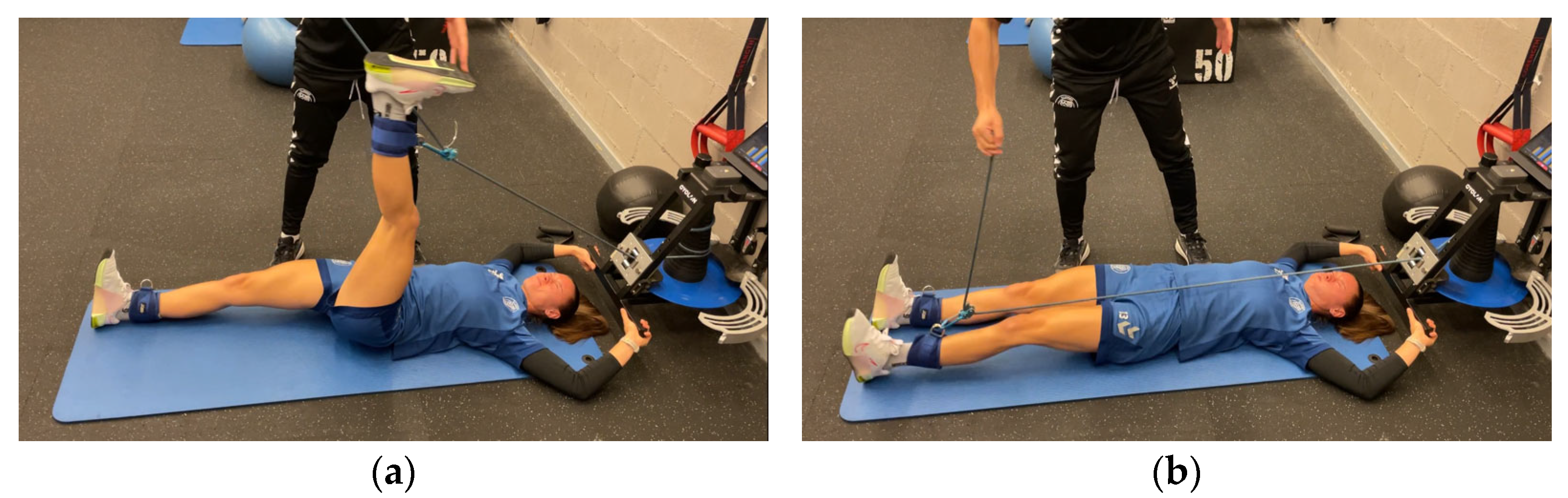 Sports 13 00212 g001