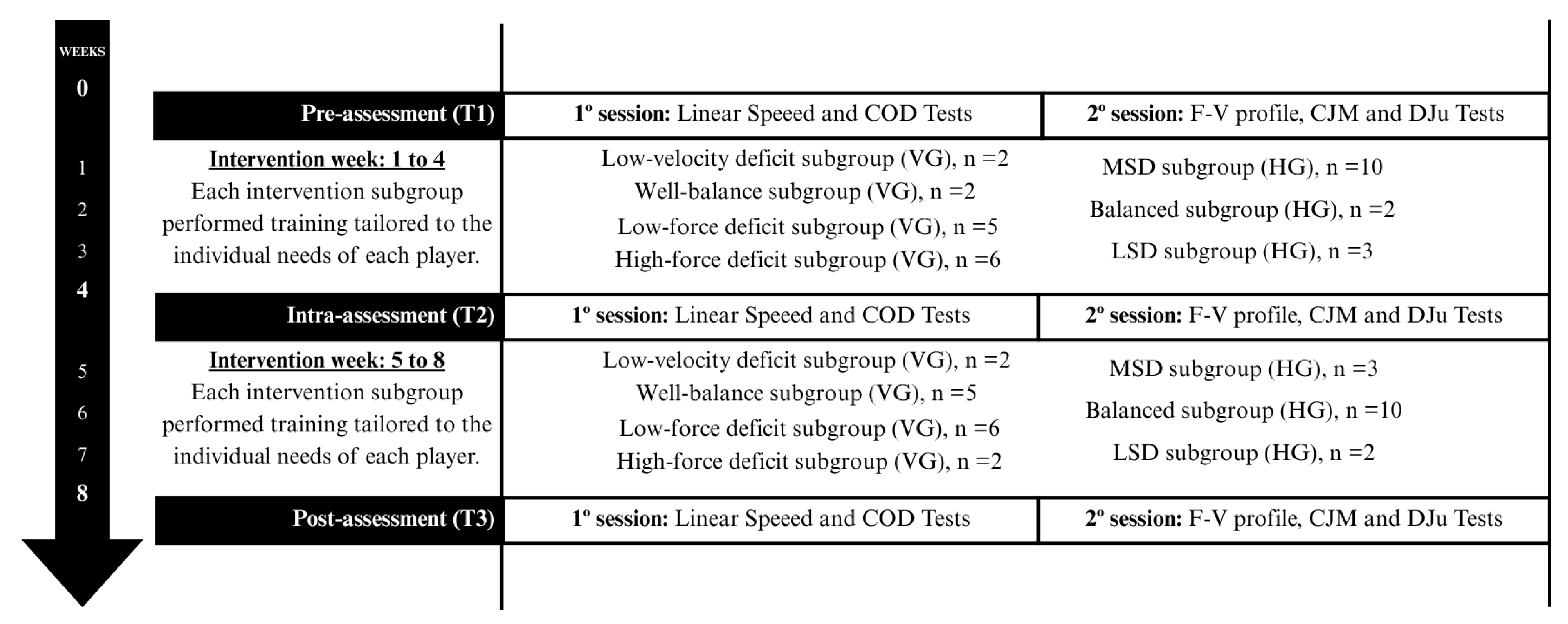 Sports 13 00214 g001