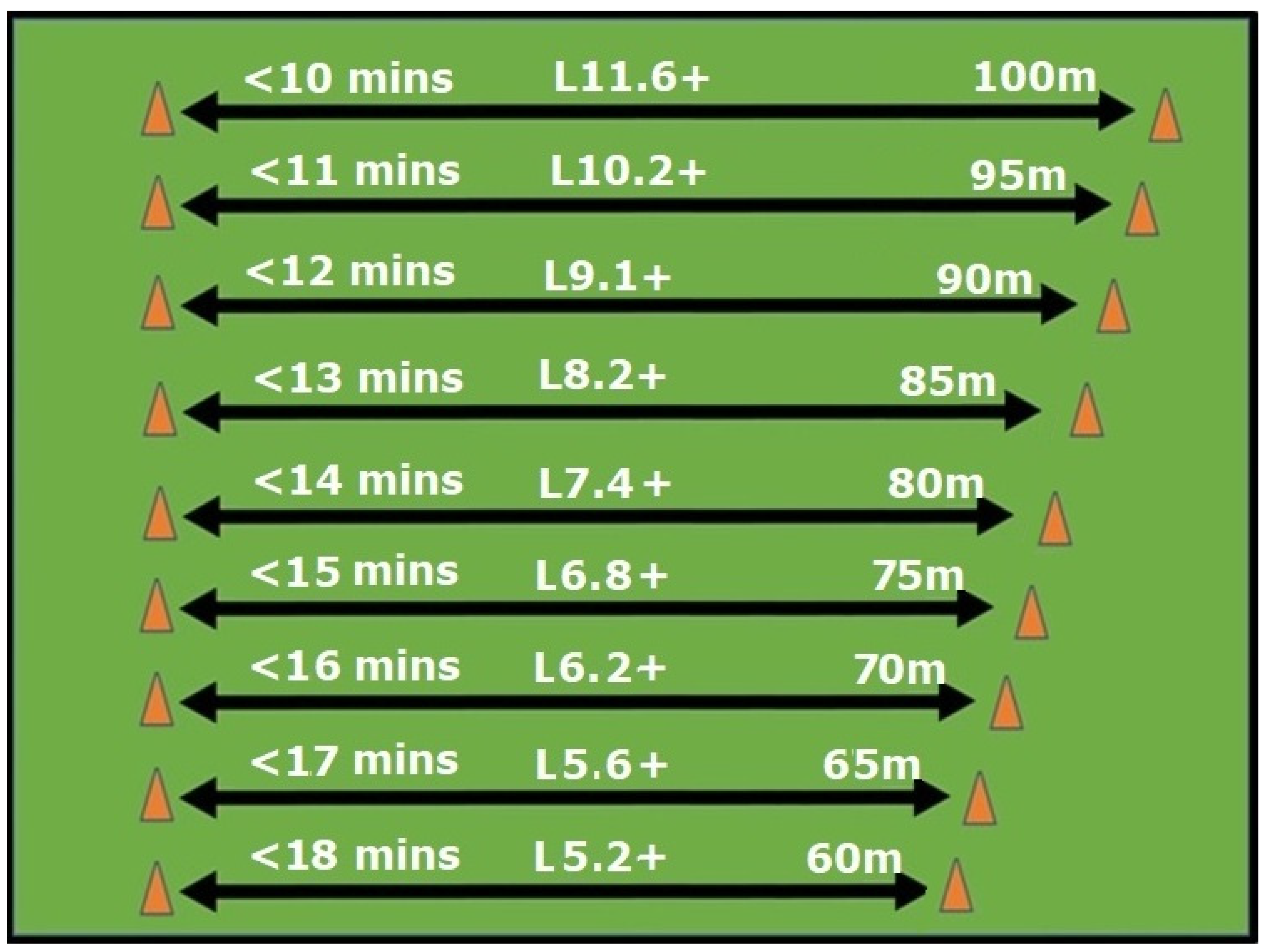 Sports 13 00219 g001 Sports 13 00219 g001