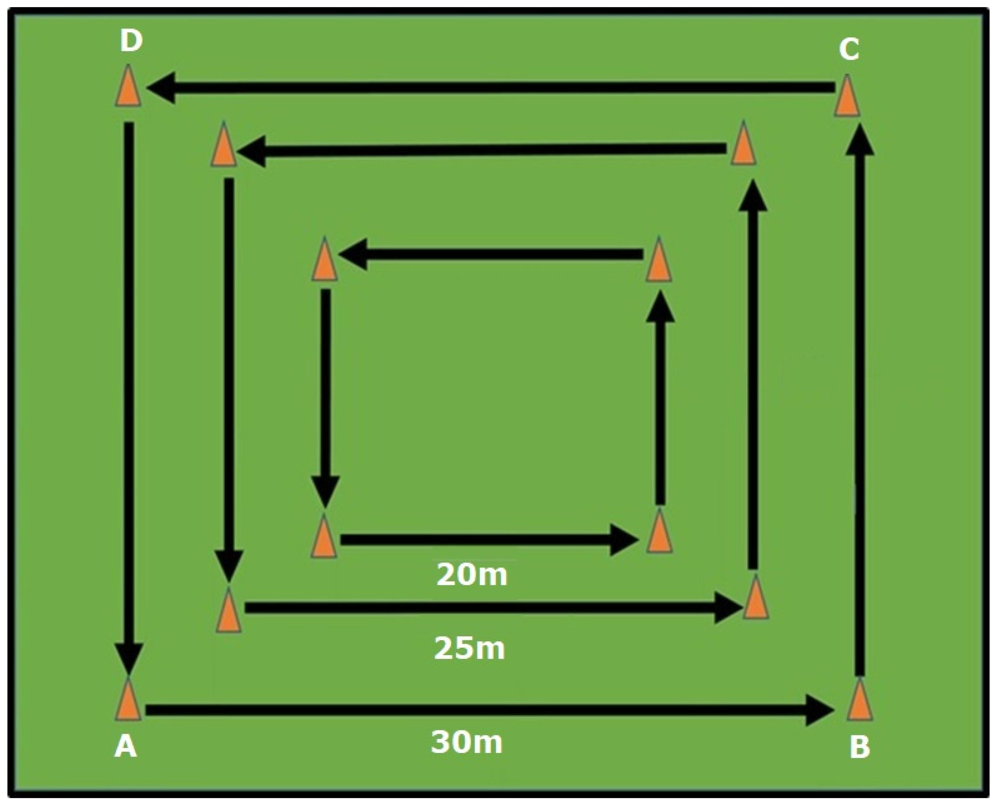 Sports 13 00219 g002 Sports 13 00219 g002