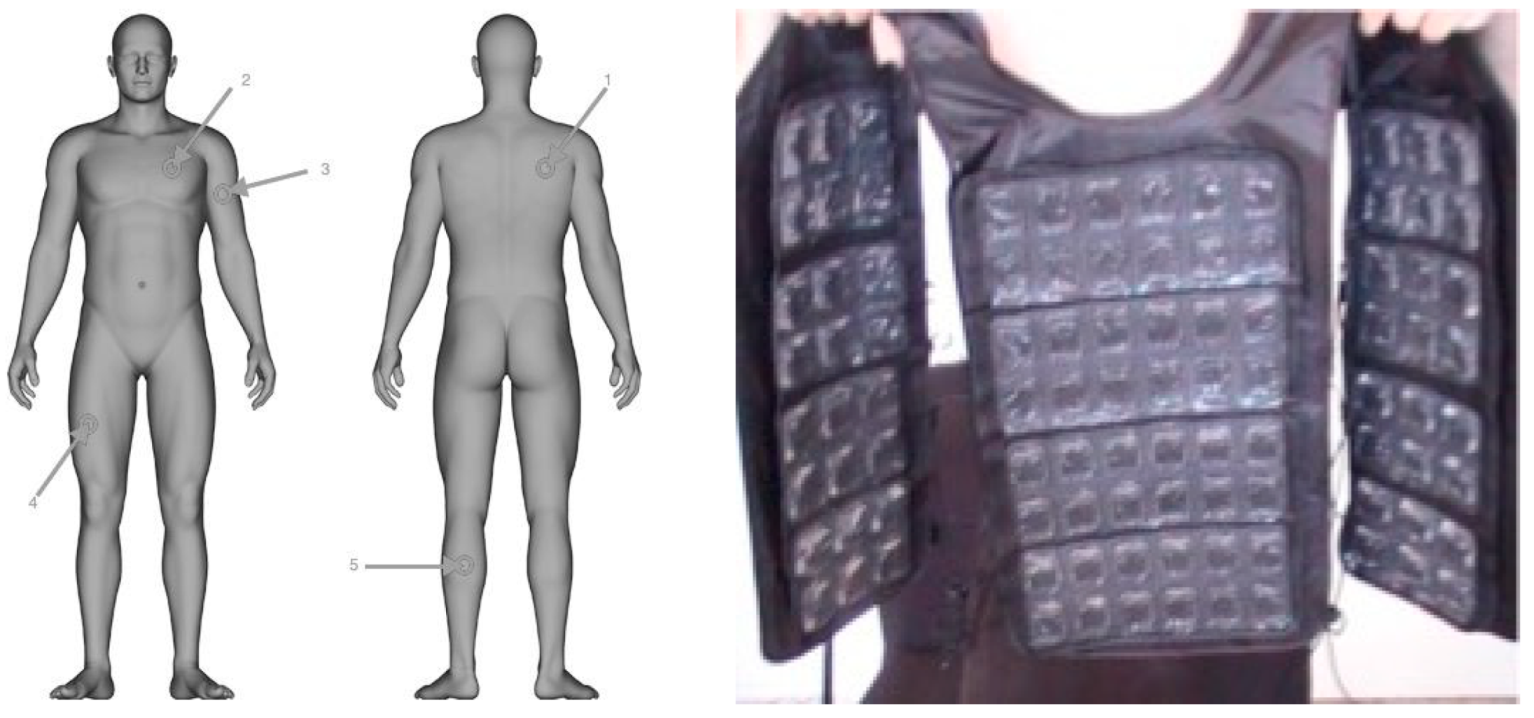 Sports 13 00235 g001