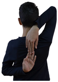 Sports 13 00238 i002