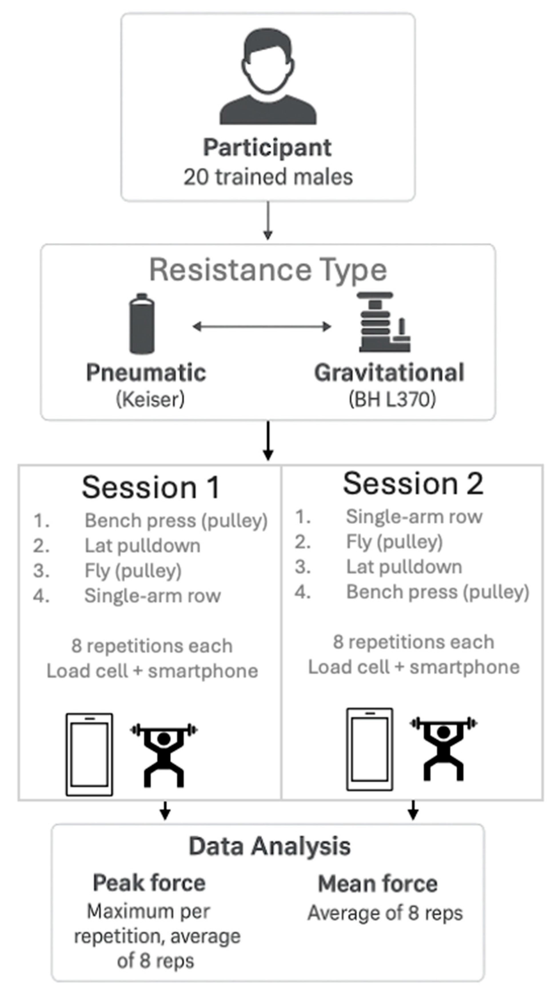 Sports 13 00239 g001