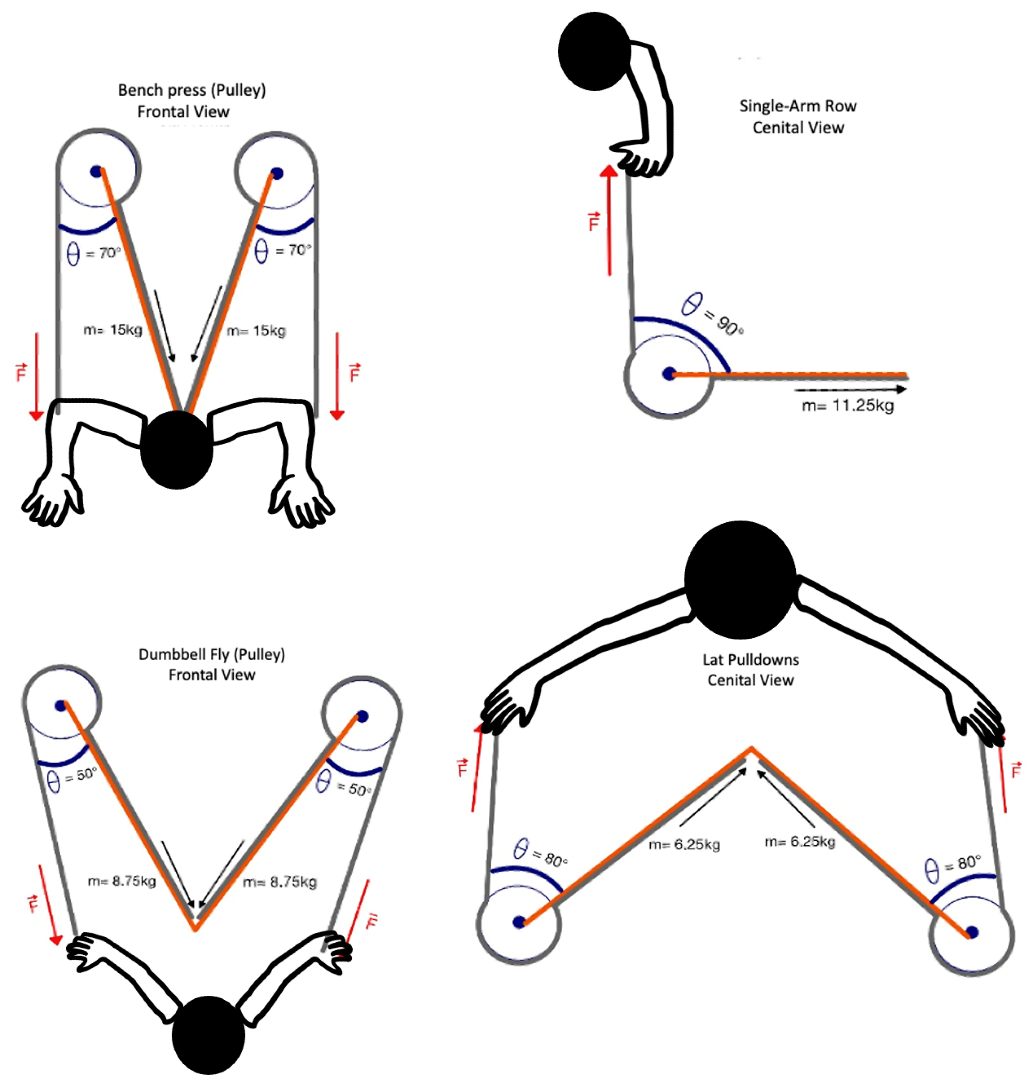 Sports 13 00239 g002