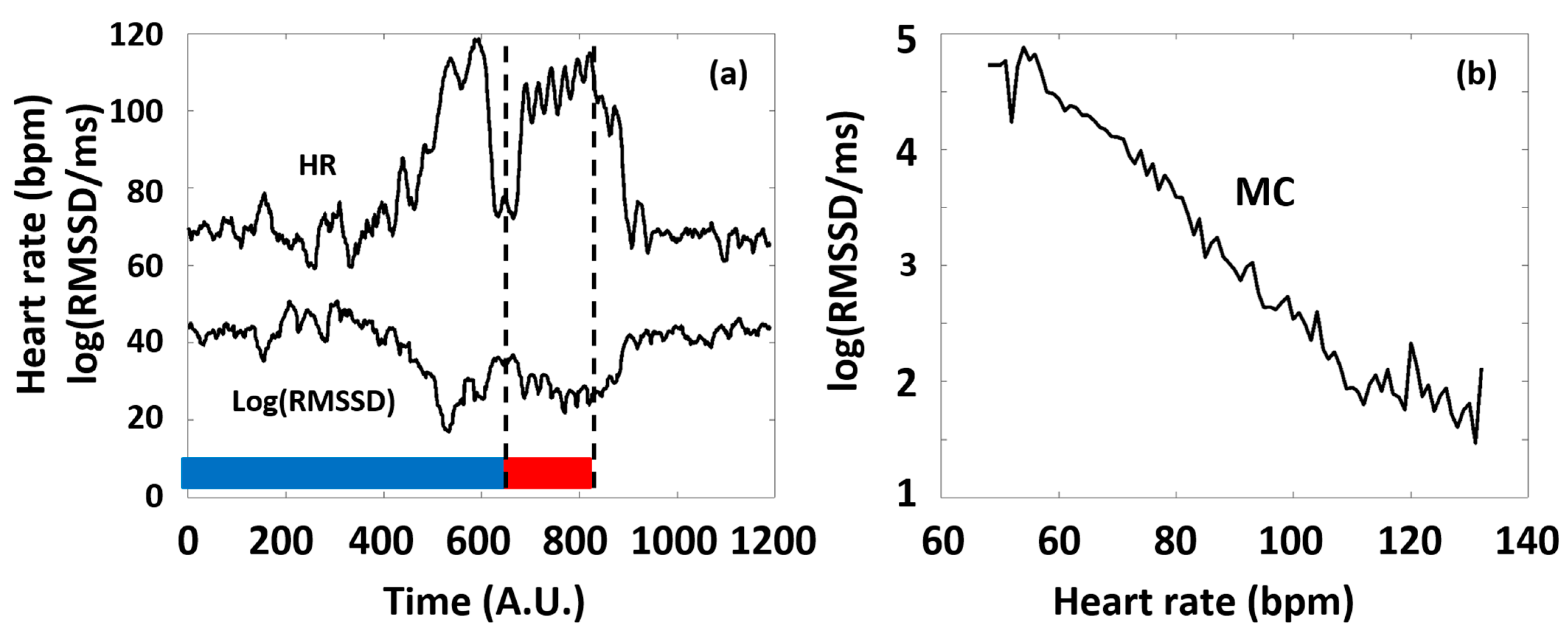 Sports 13 00262 g002