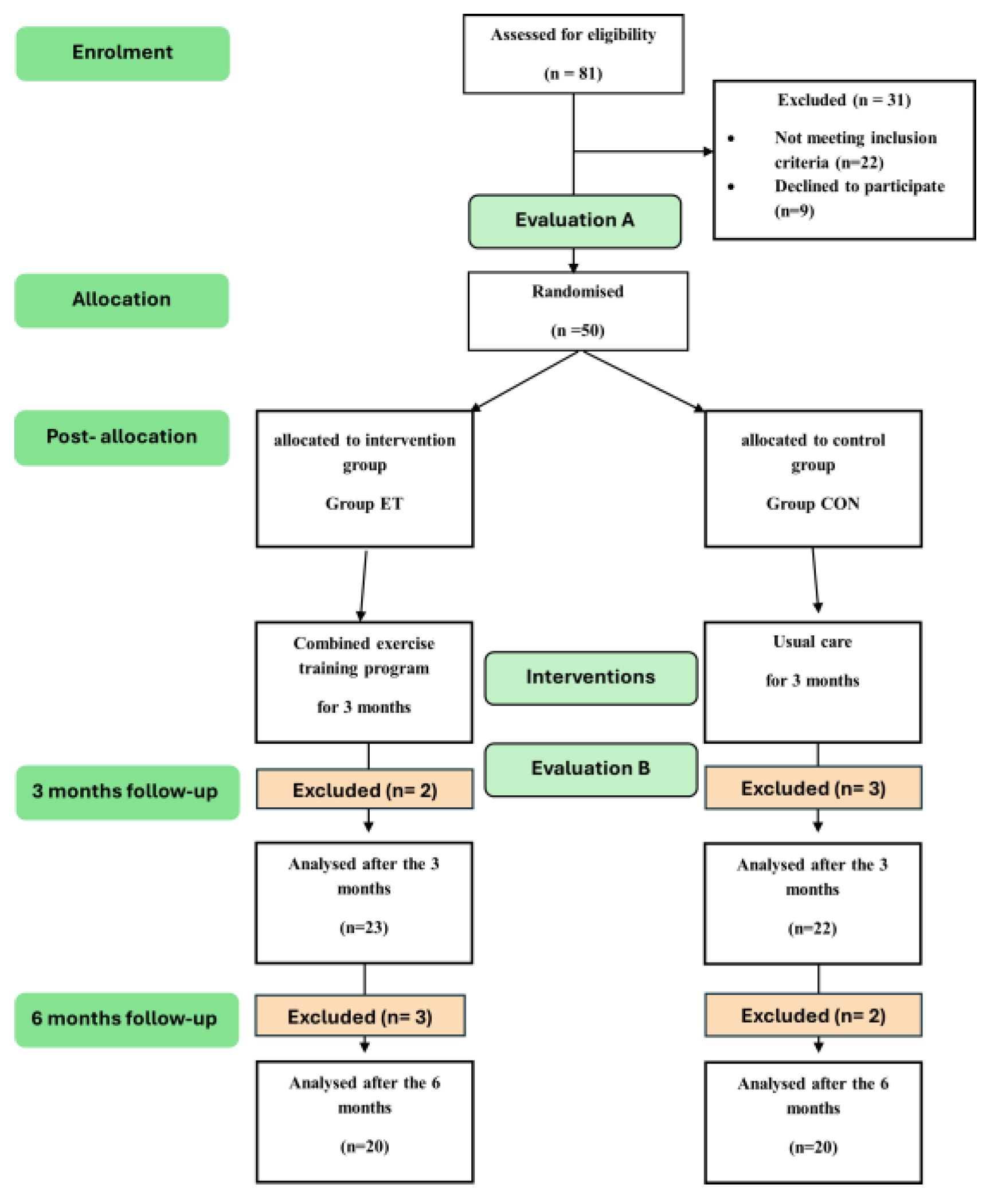 Sports 13 00267 g001