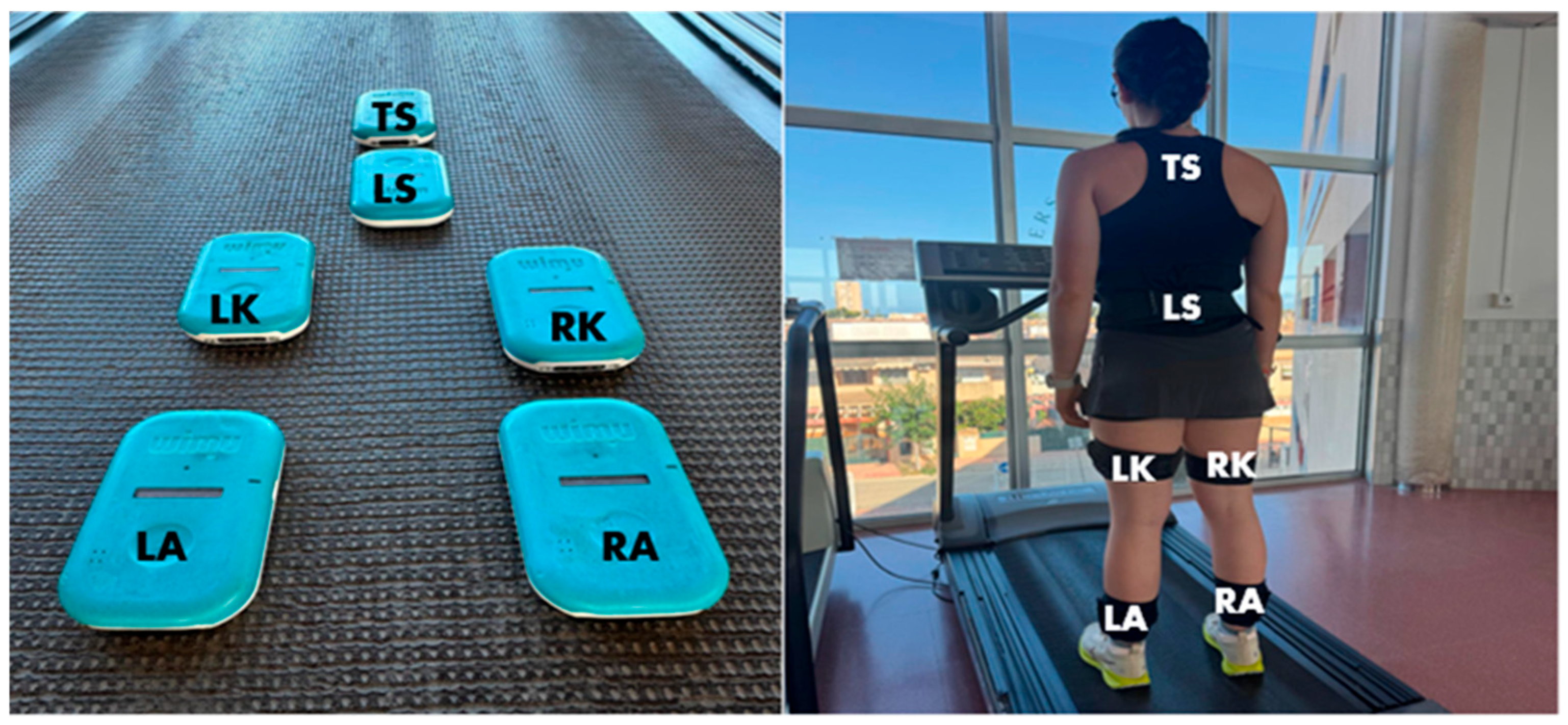 Sports 13 00268 g001 Sports 13 00268 g001