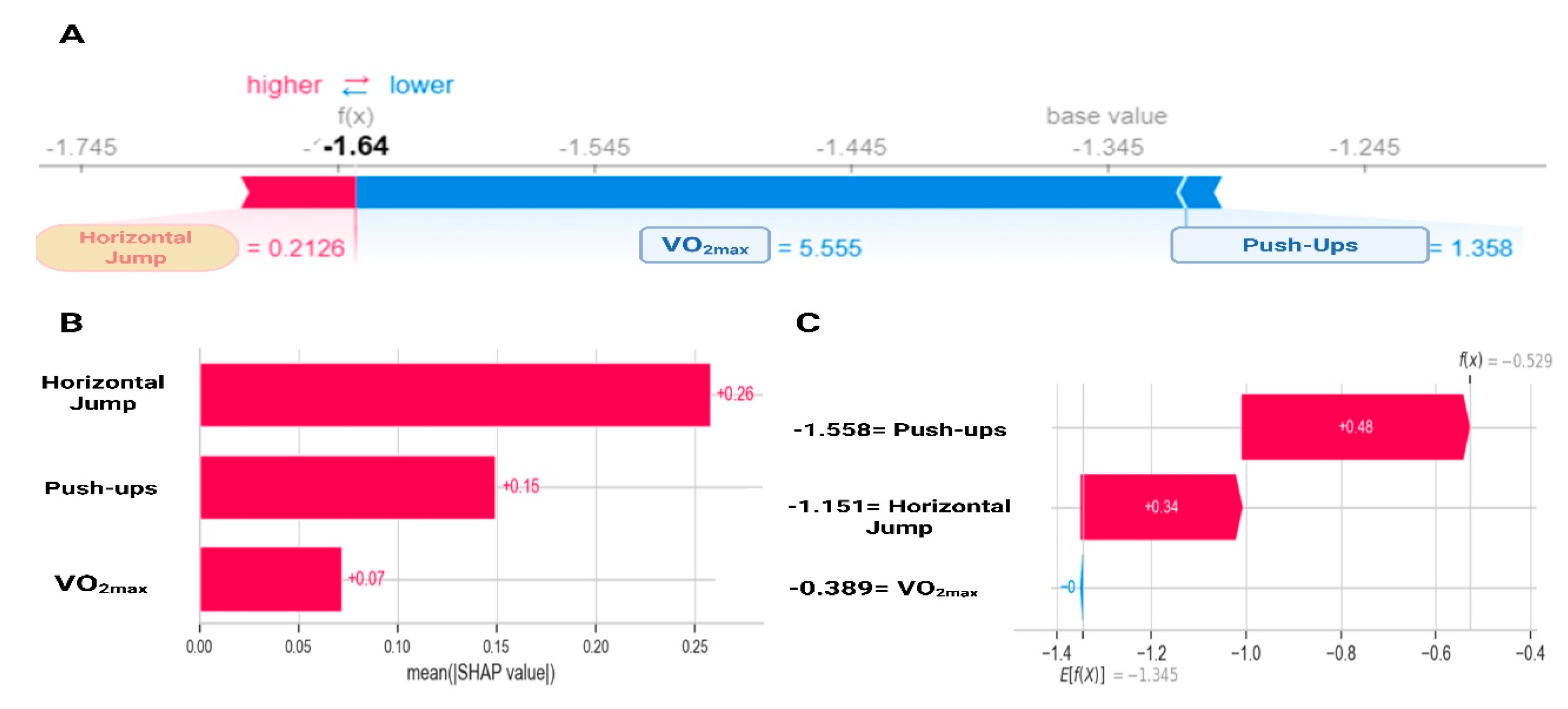 Sports 13 00273 g001