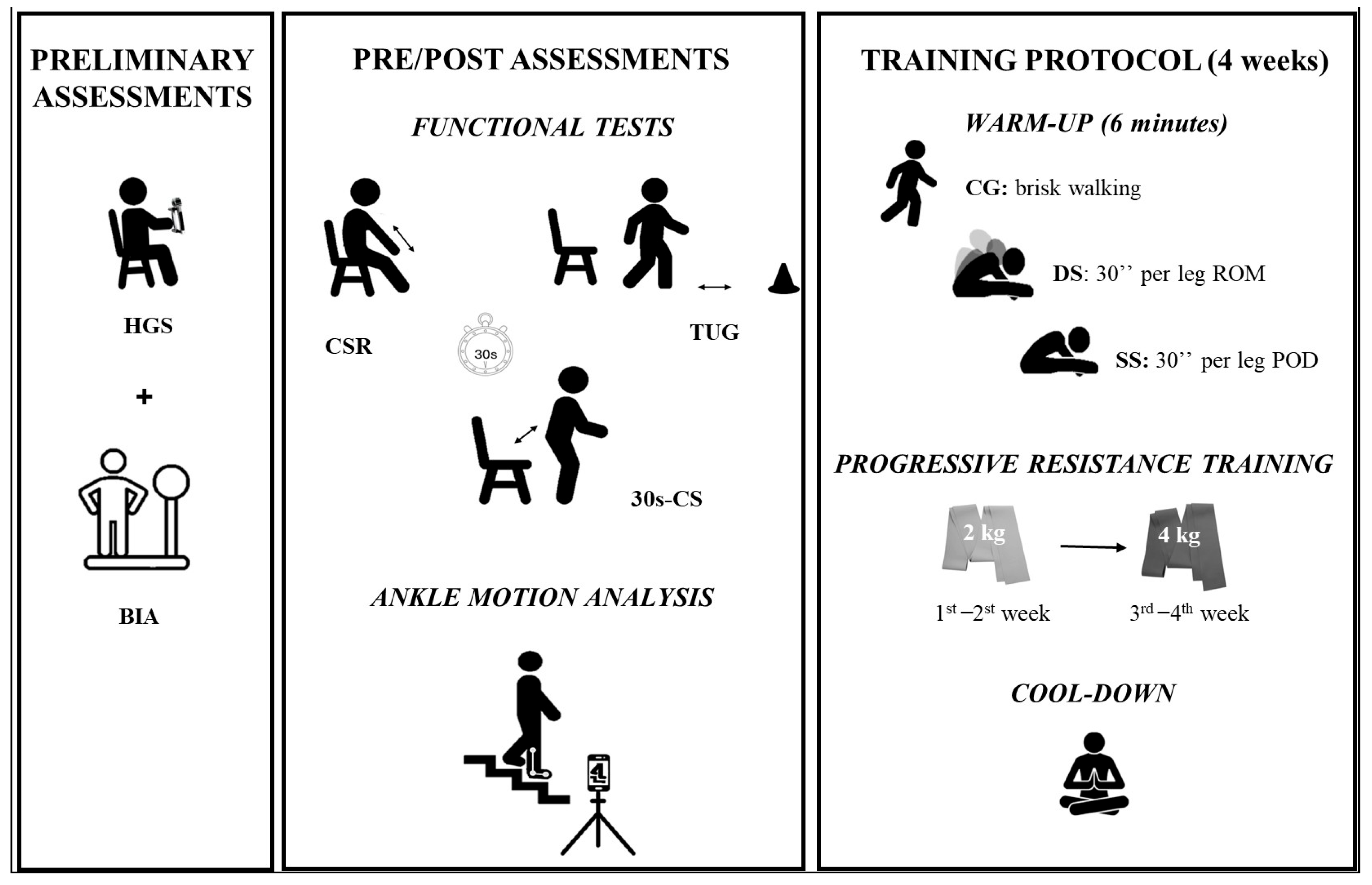 Sports 13 00276 g001