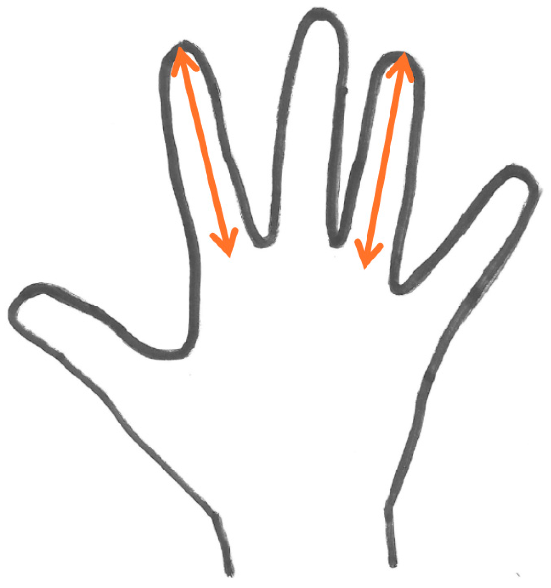 Sports 13 00279 g002