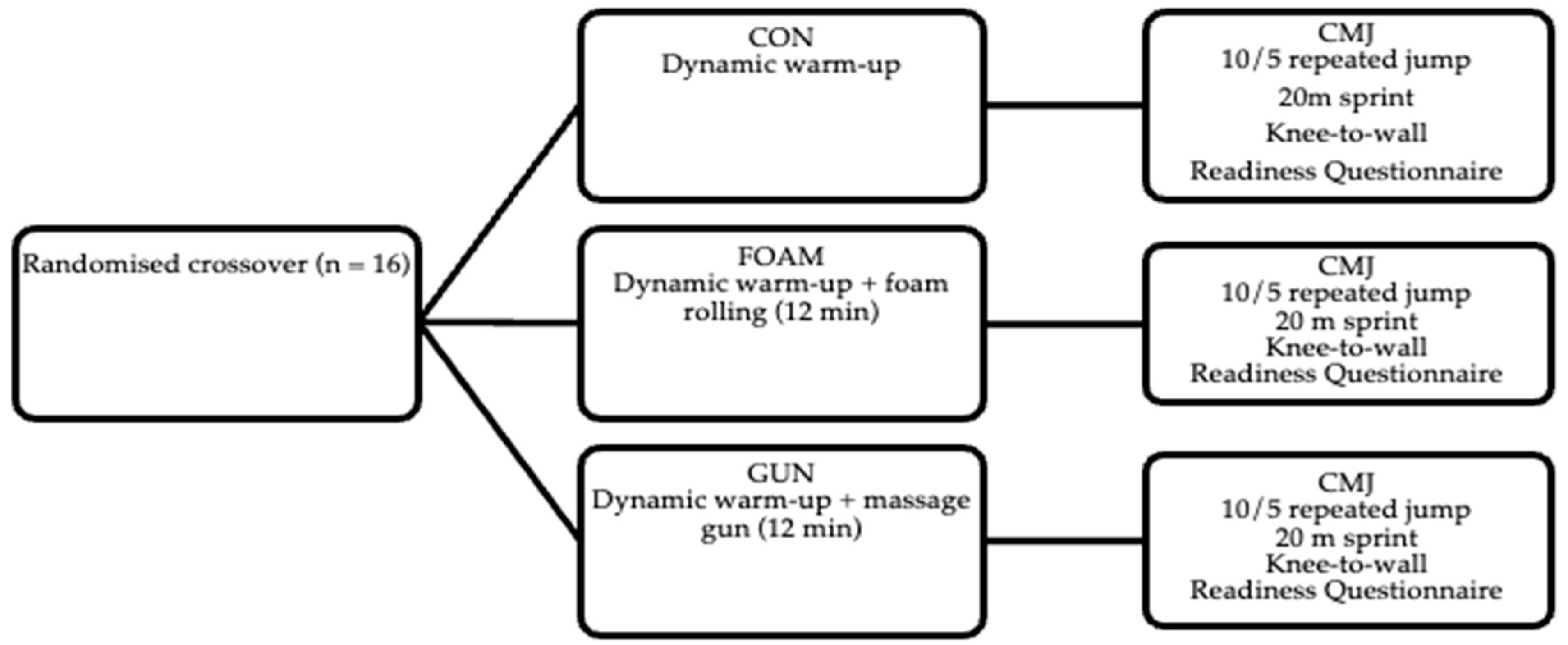 Sports 13 00282 g001 Sports 13 00282 g001