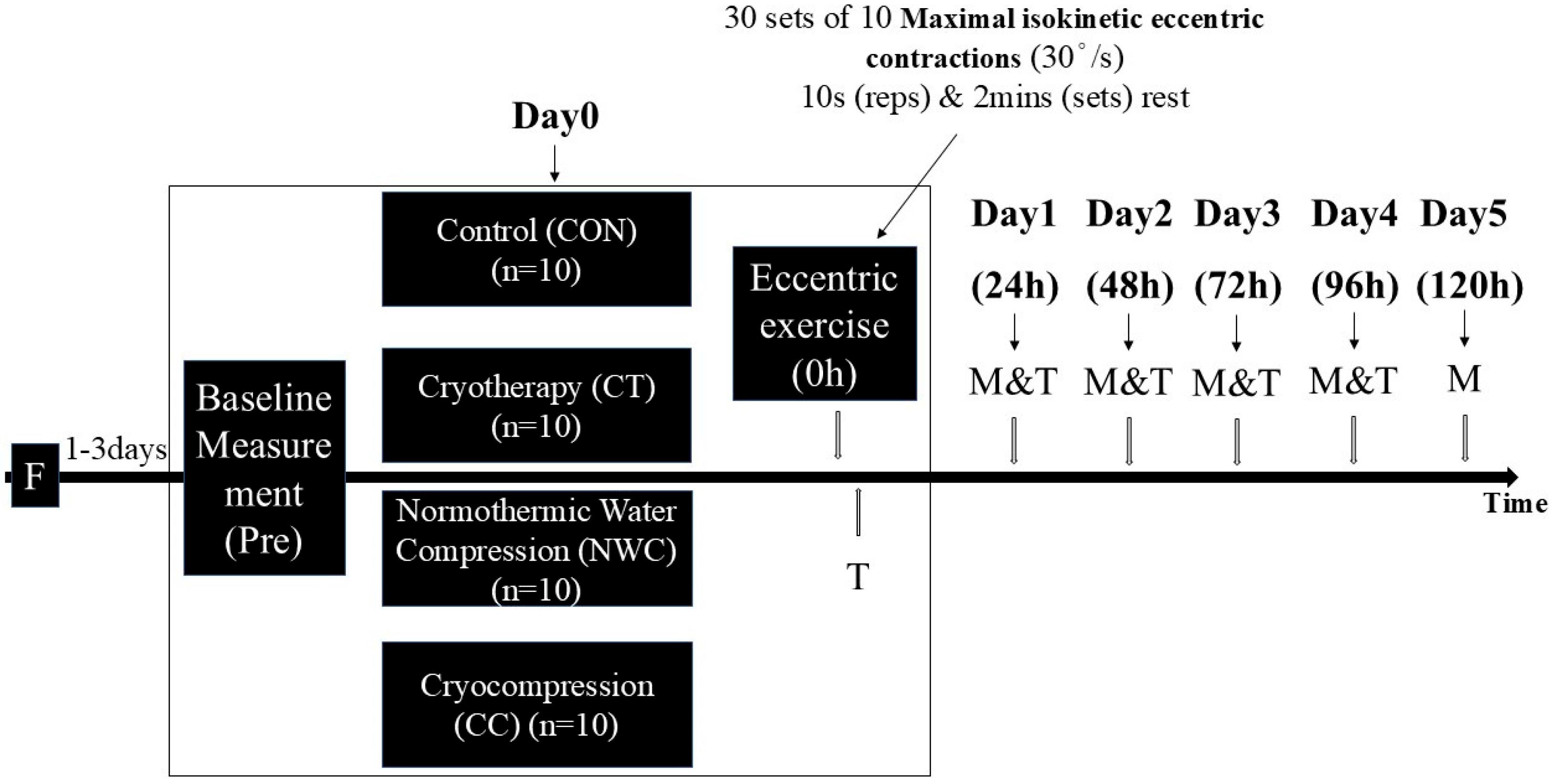 Sports 13 00290 g001 Sports 13 00290 g001