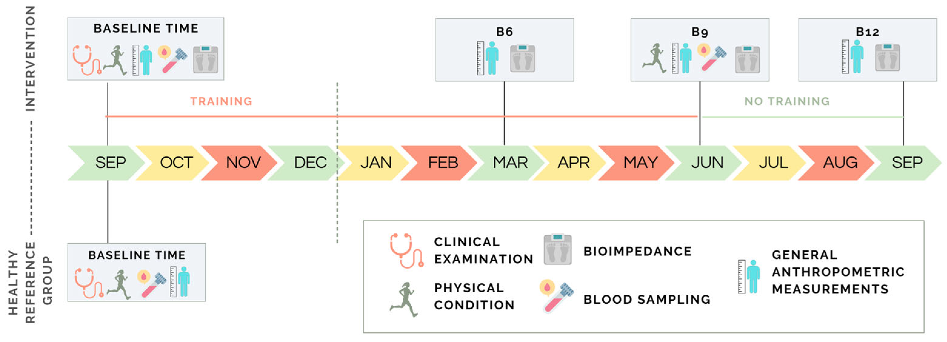 Sports 13 00291 g001