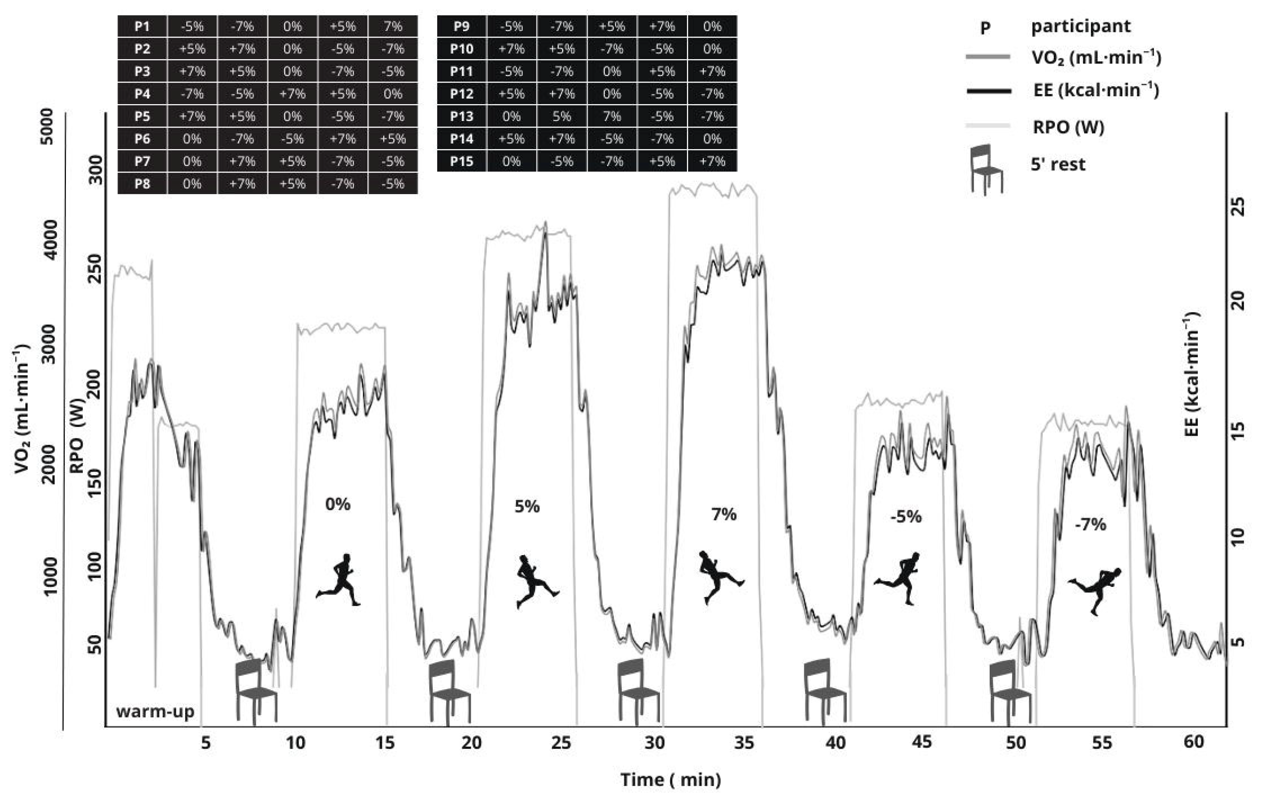 Sports 13 00294 g002