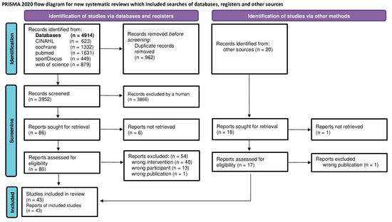 Sports 13 00302 g001
