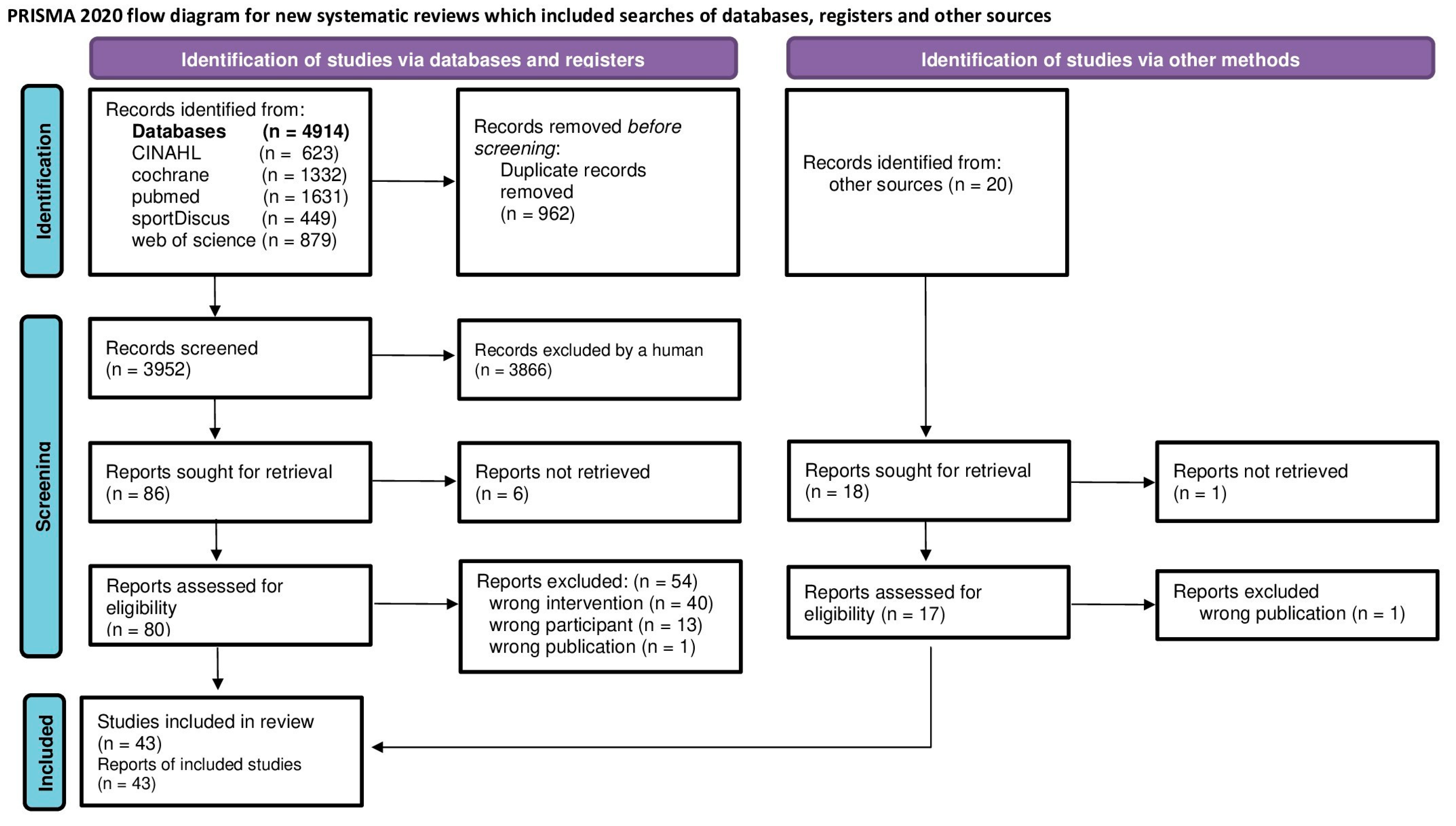 Sports 13 00302 g001