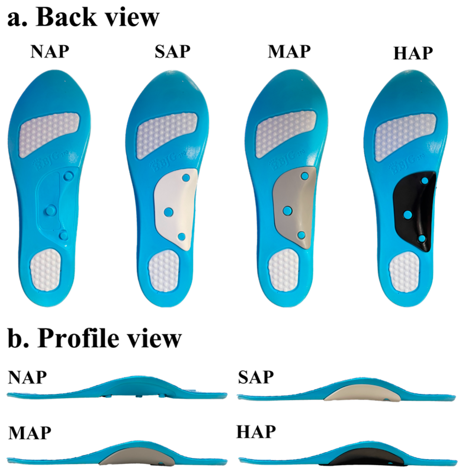 Sports 13 00323 g001 Sports 13 00323 g001