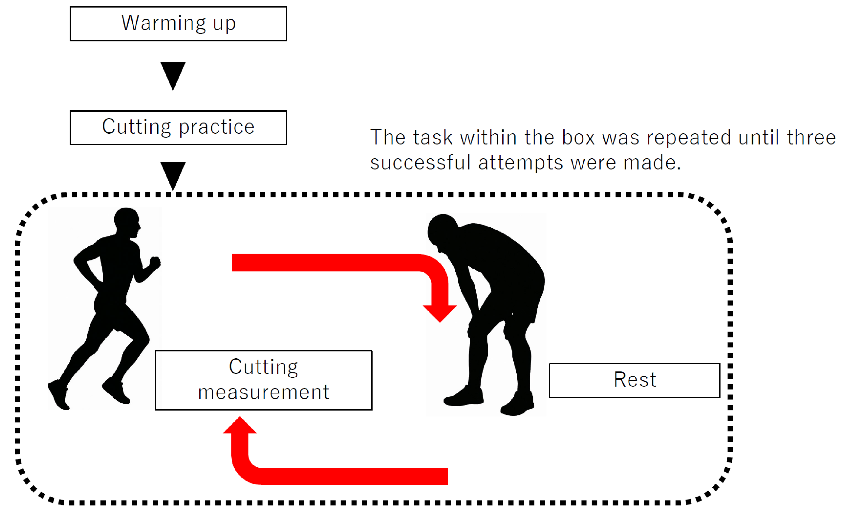 Sports 13 00338 g001