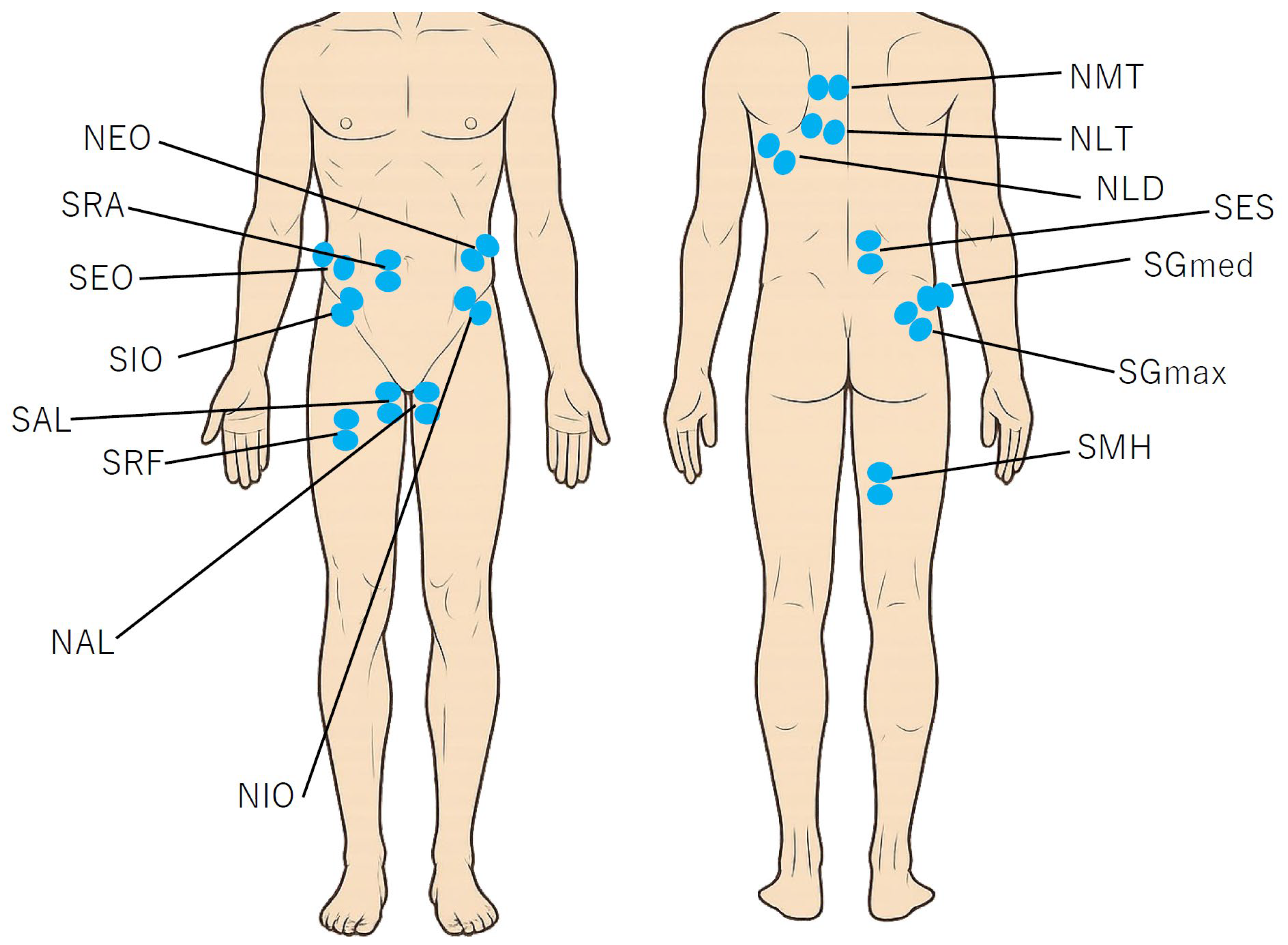 Sports 13 00338 g003