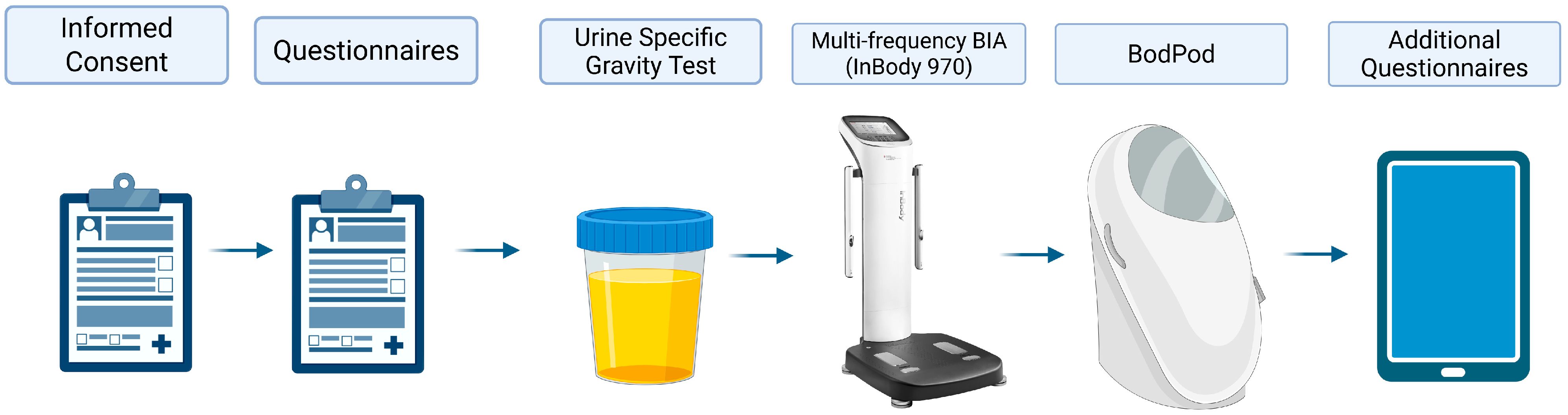 Sports 13 00340 g001