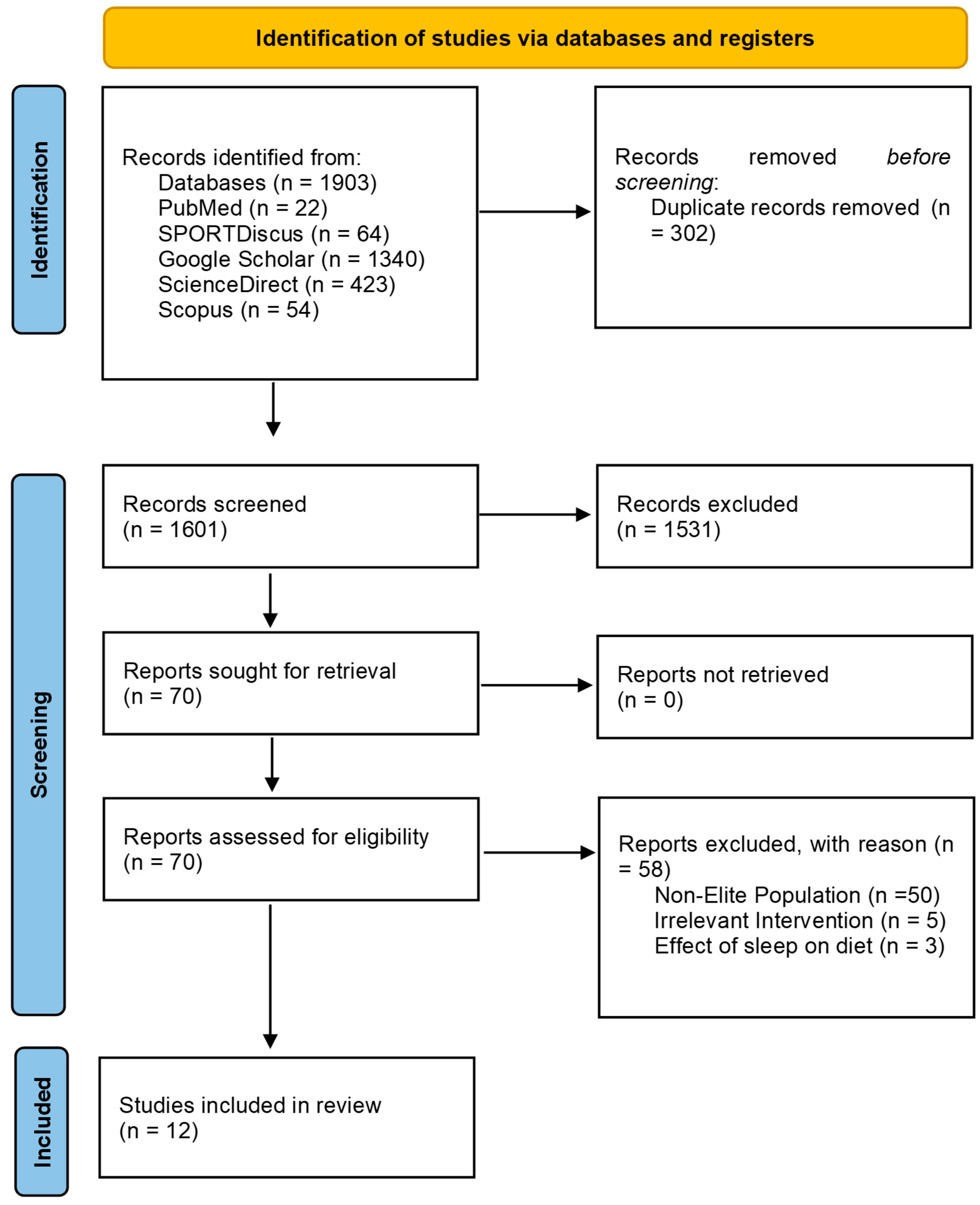 Sports 13 00342 g001