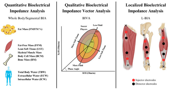 Sports 13 00348 g002