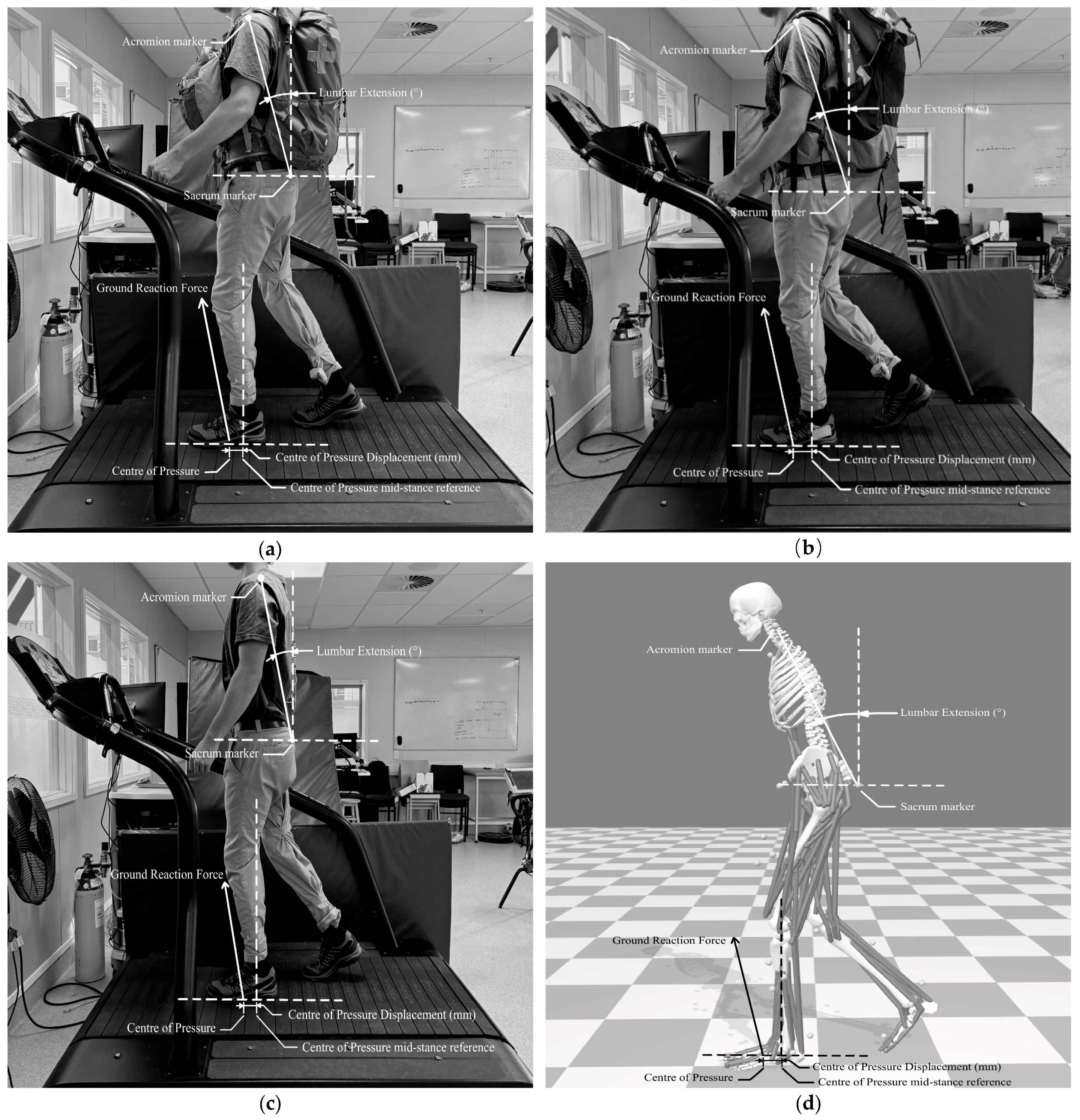 Sports 13 00350 g001 Sports 13 00350 g001