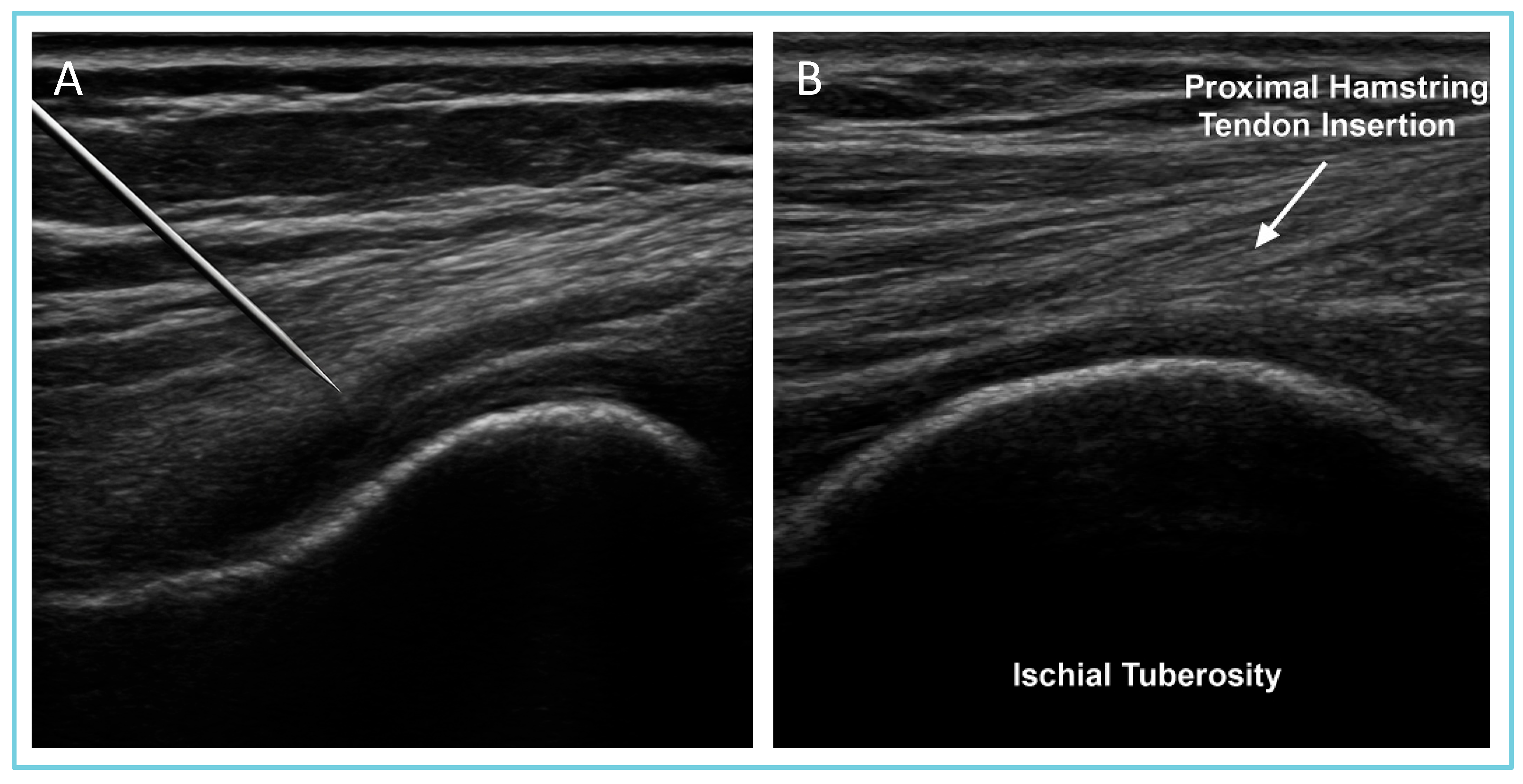 Sports 13 00359 g001 Sports 13 00359 g001