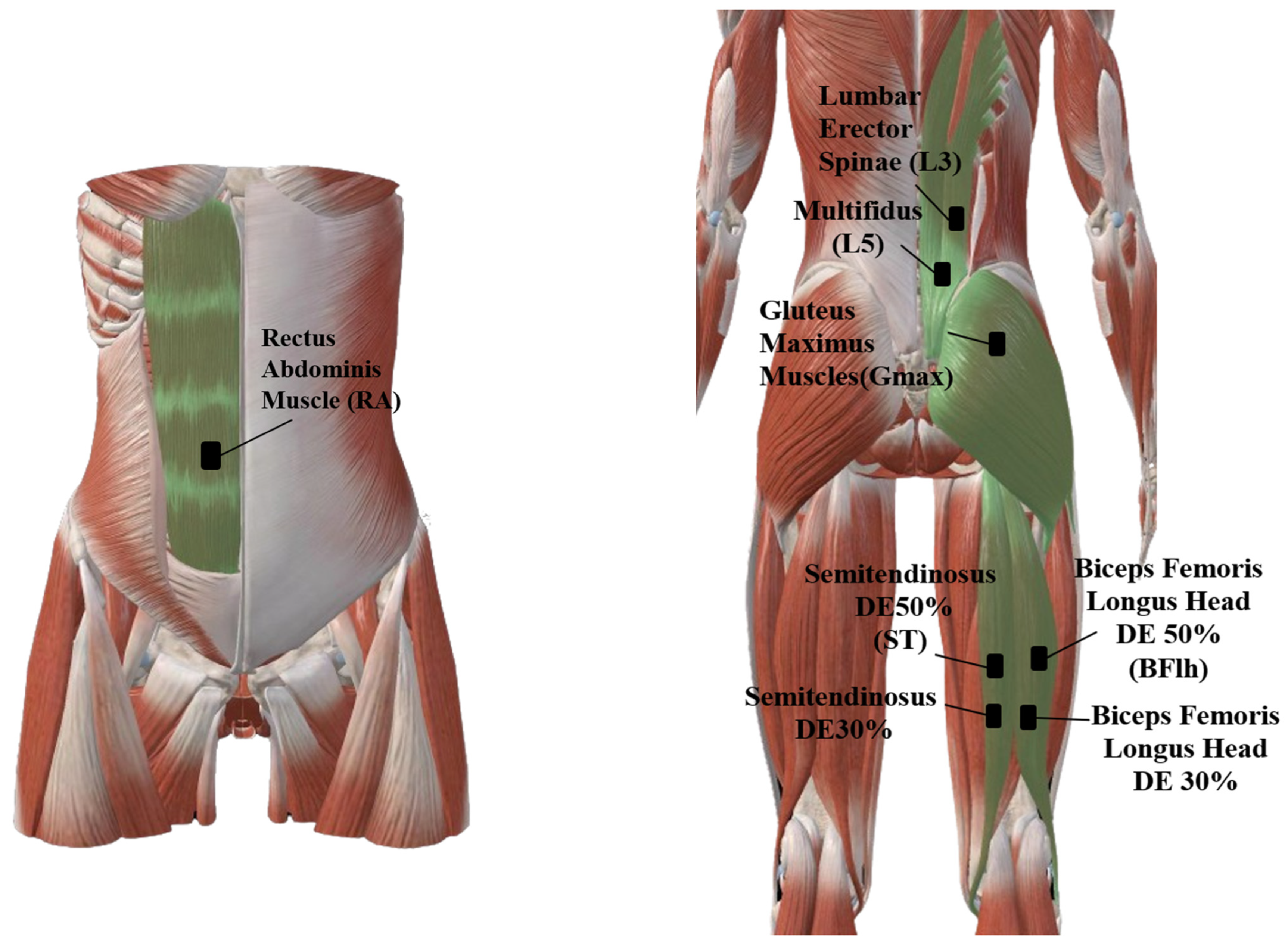 Sports 13 00364 g002