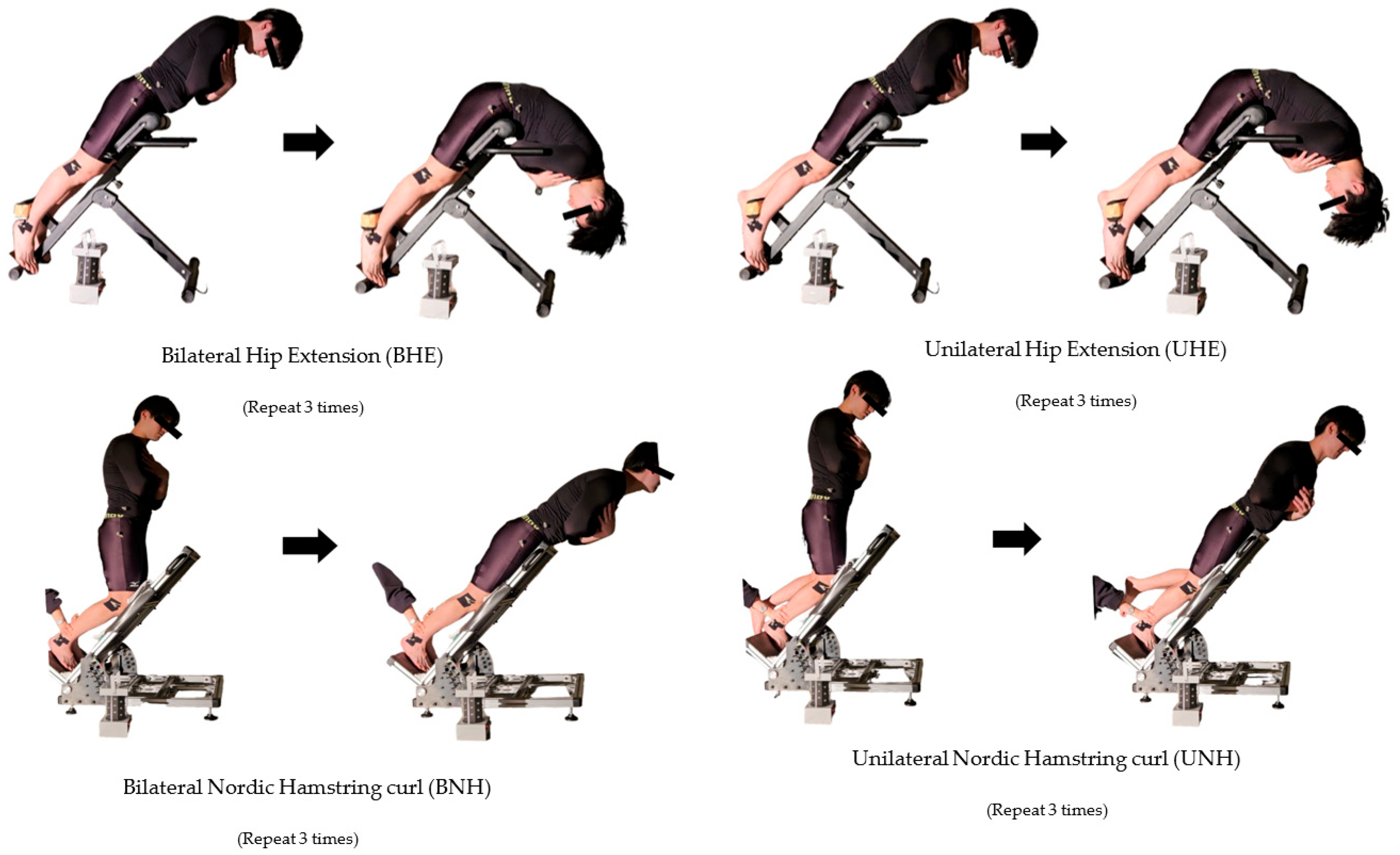 Sports 13 00364 g003