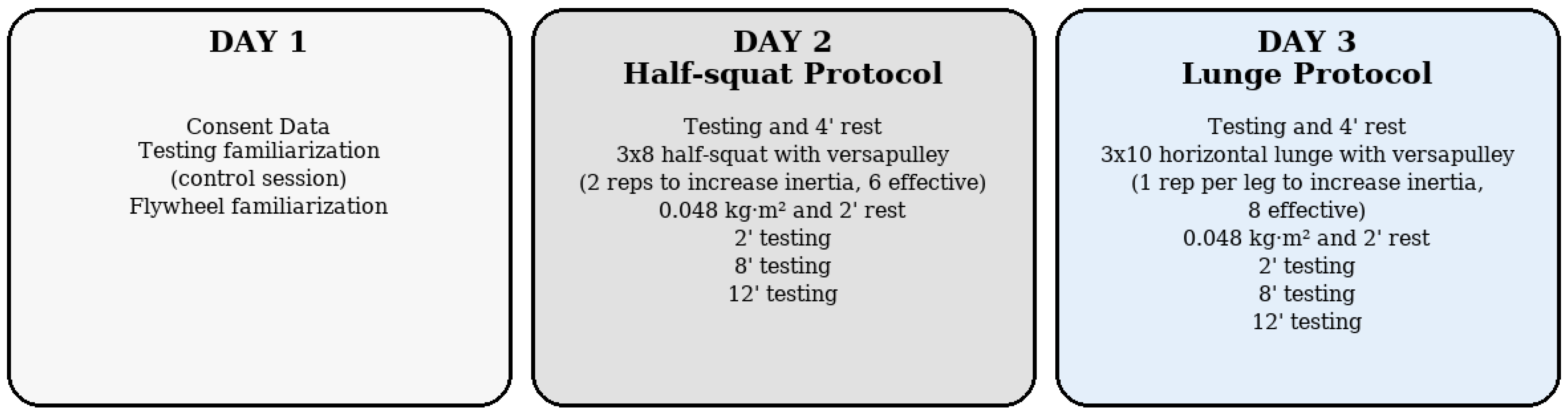 Sports 13 00370 g001