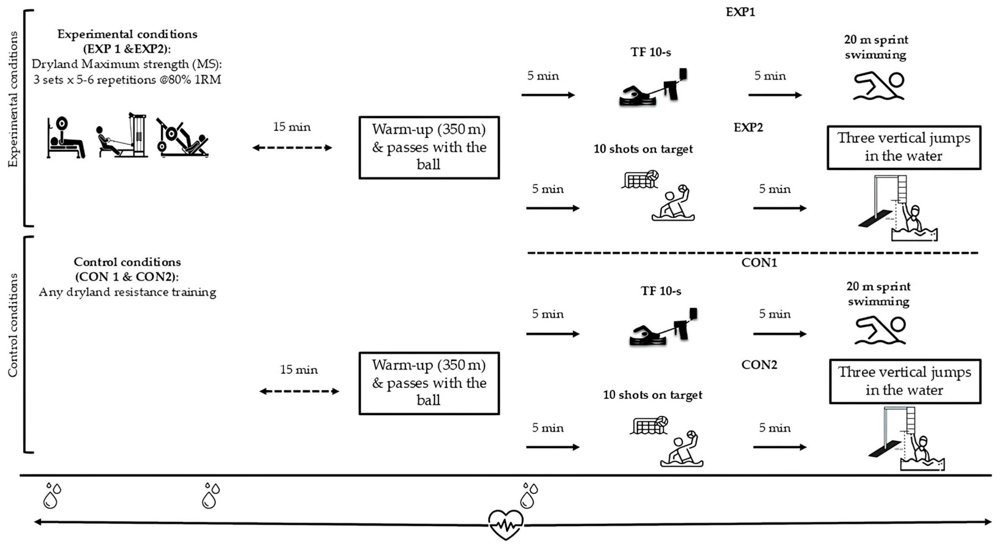 Sports 13 00378 g001 Sports 13 00378 g001