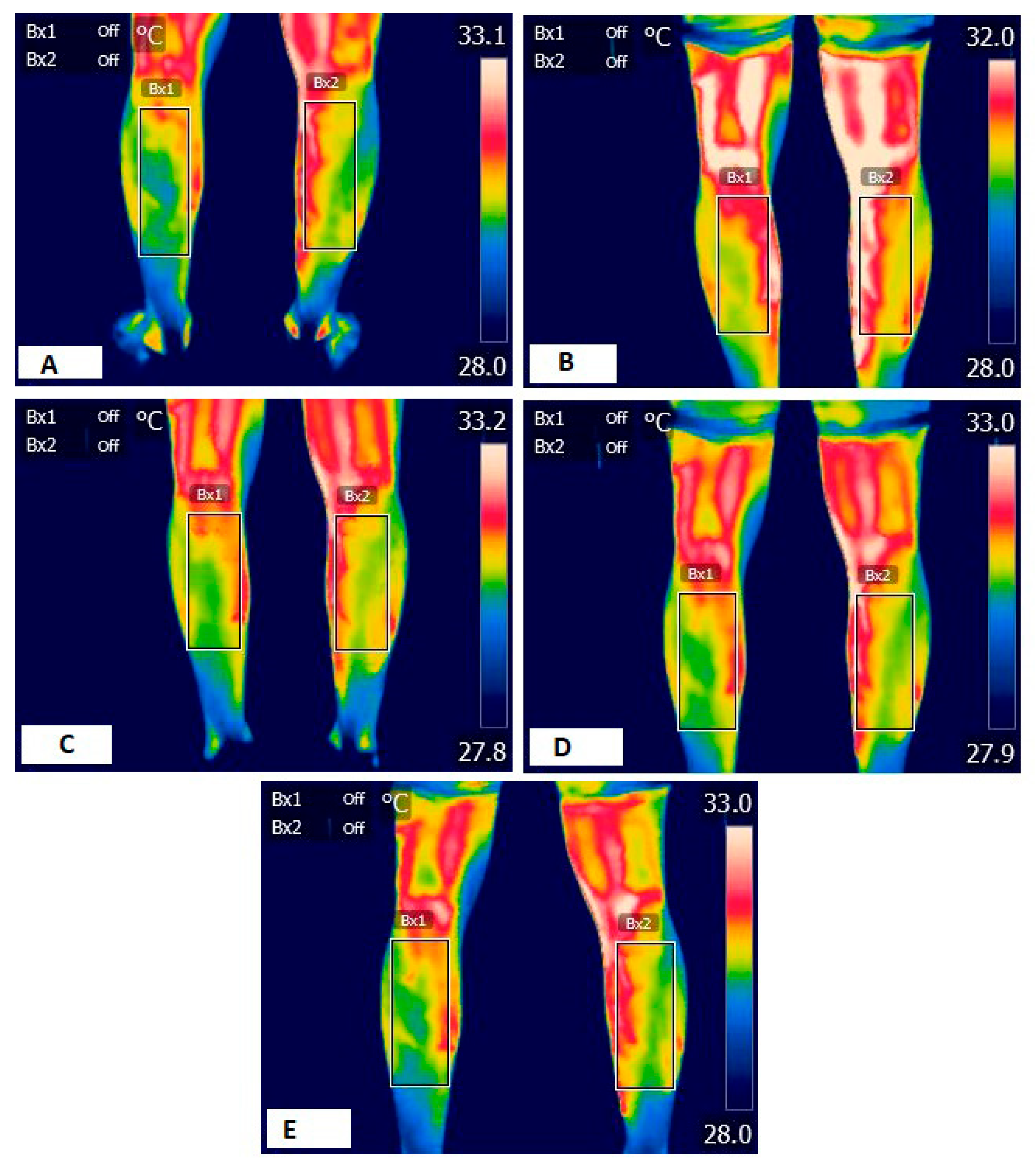 Sports 13 00383 g001 Sports 13 00383 g001