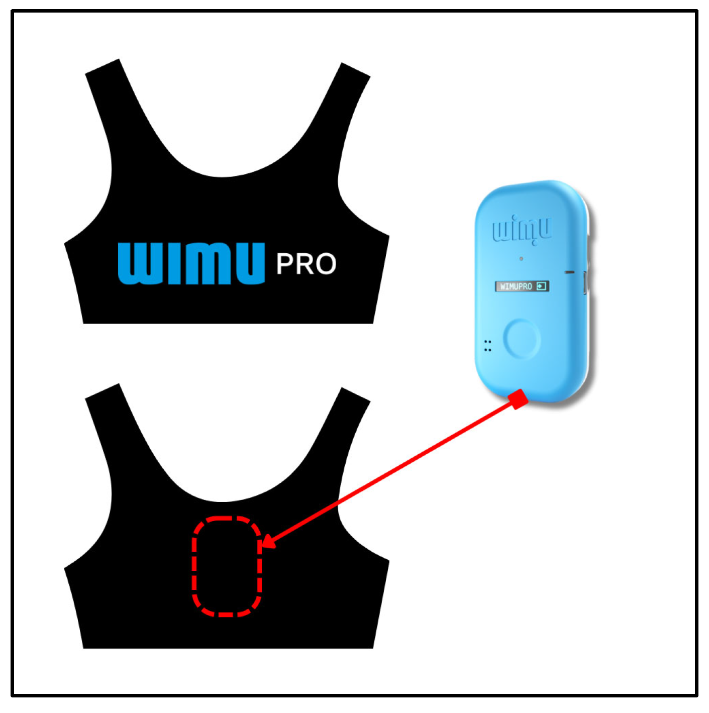 Sports 13 00402 g001