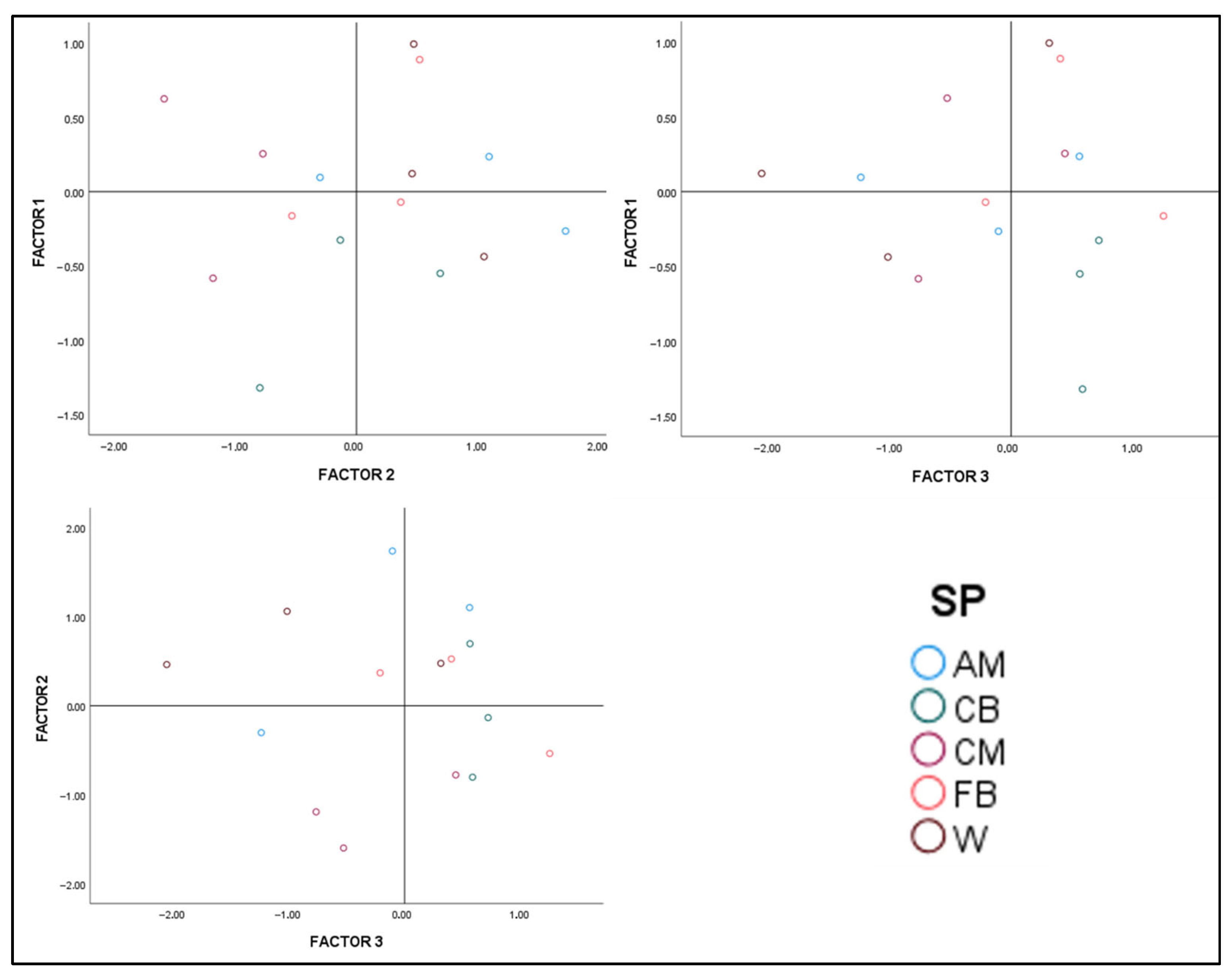 Sports 13 00402 g002