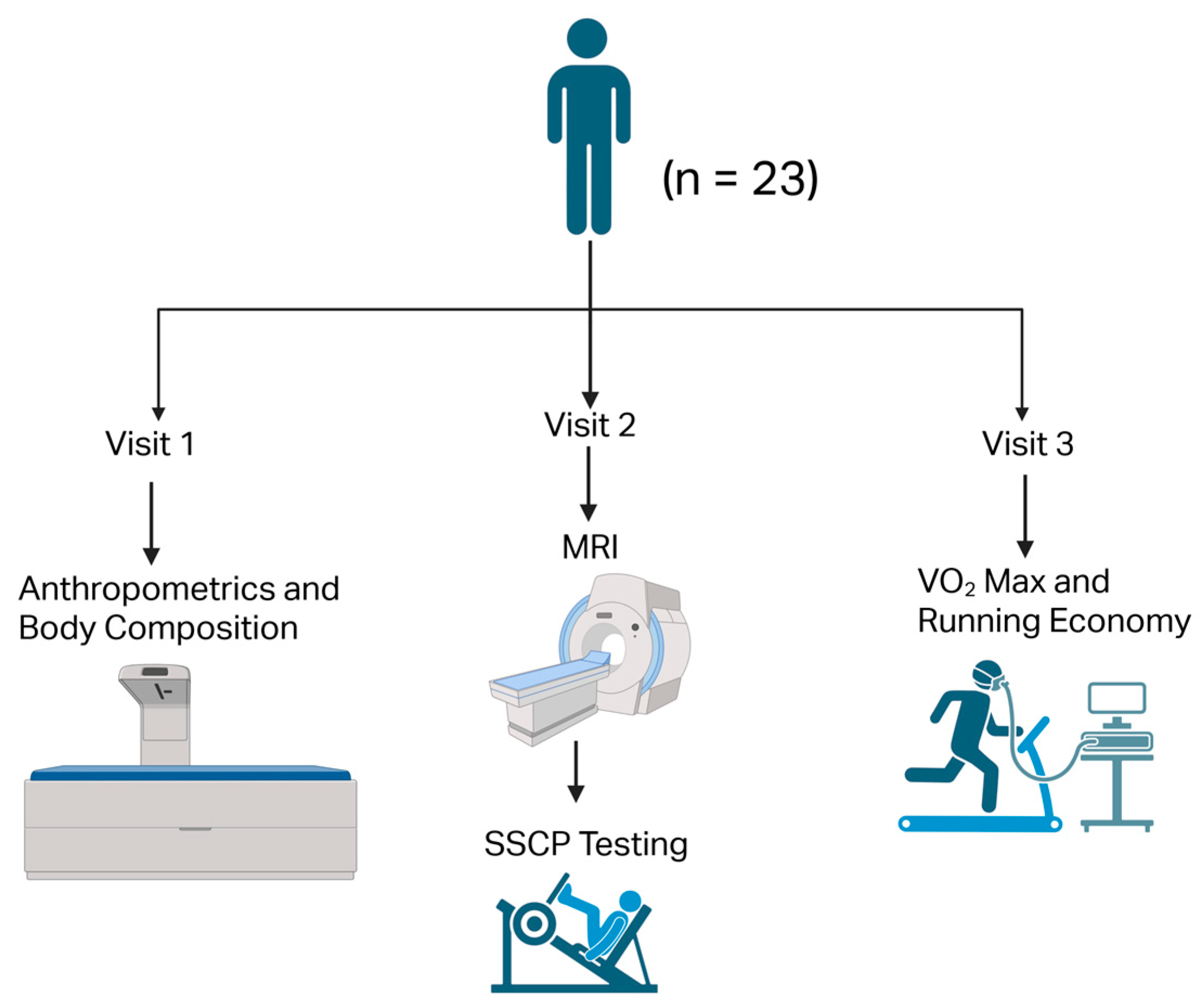 Sports 13 00403 g001 Sports 13 00403 g001