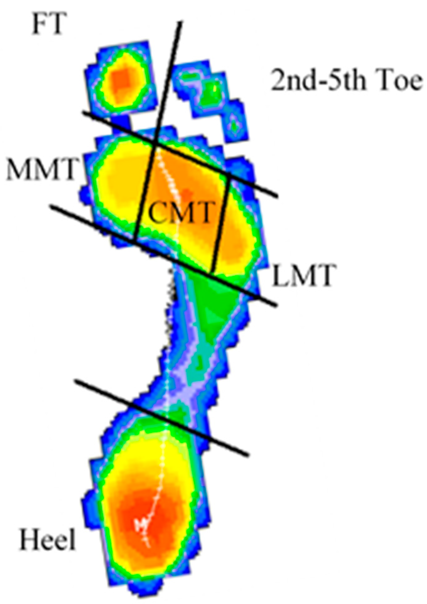 Sports 13 00408 g001 Sports 13 00408 g001