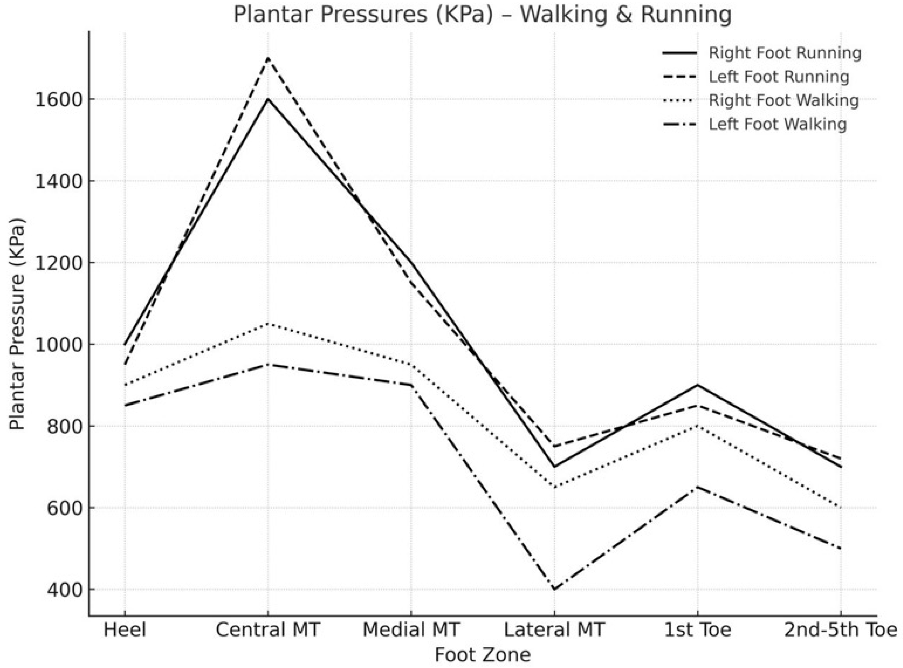 Sports 13 00408 g002 Sports 13 00408 g002