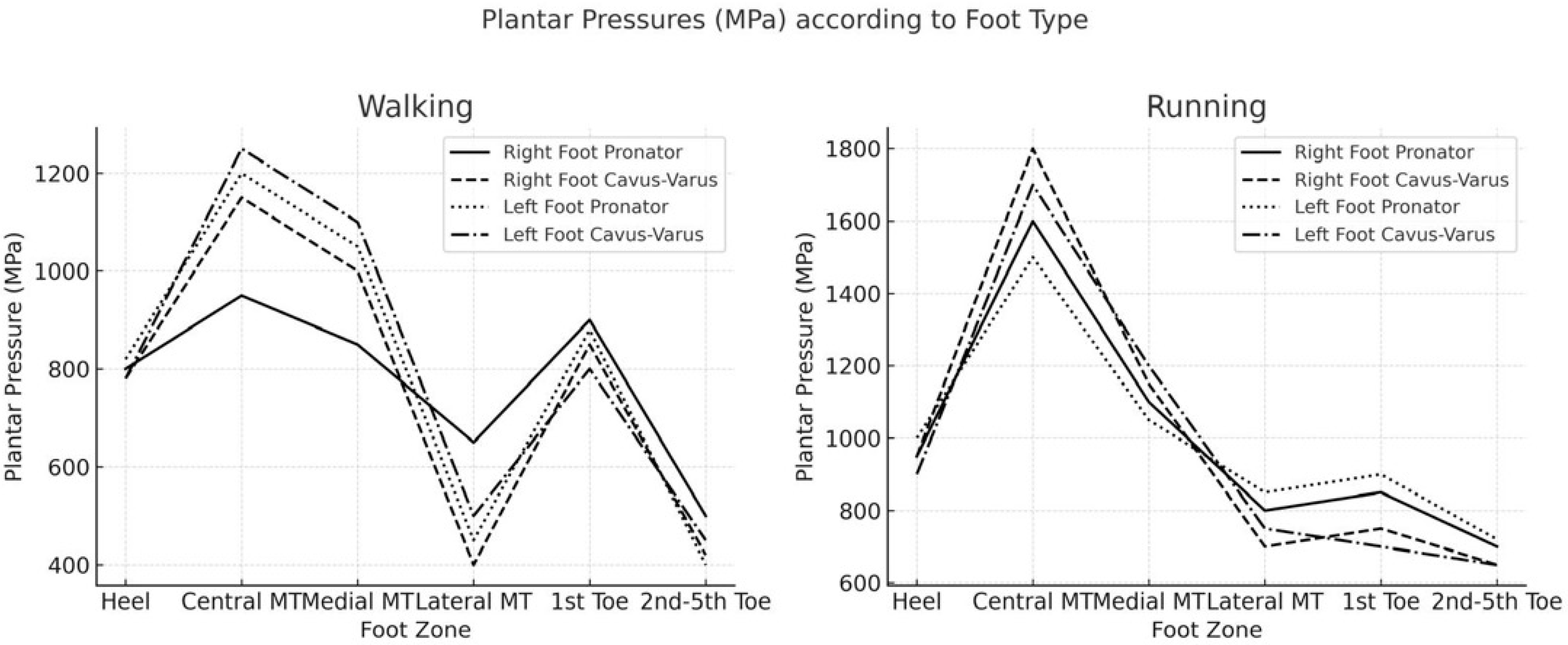 Sports 13 00408 g003 Sports 13 00408 g003