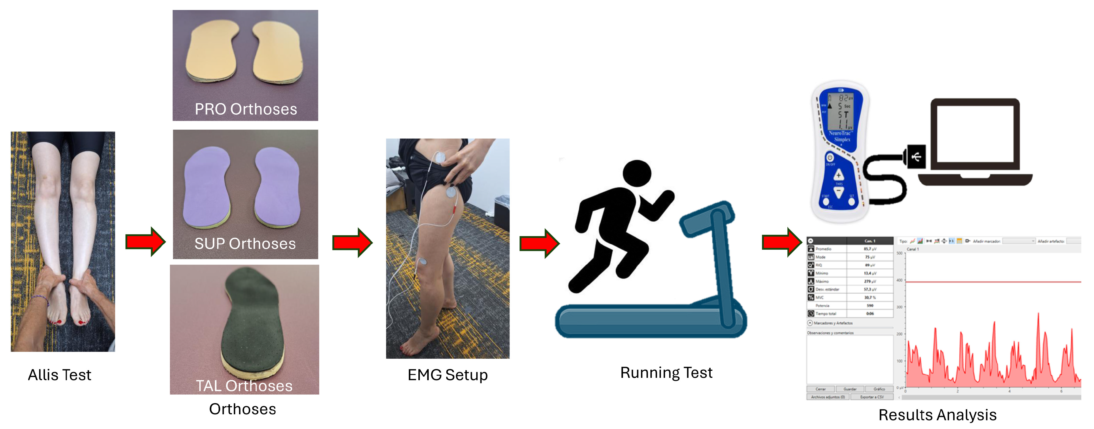 Sports 13 00412 g001 Sports 13 00412 g001