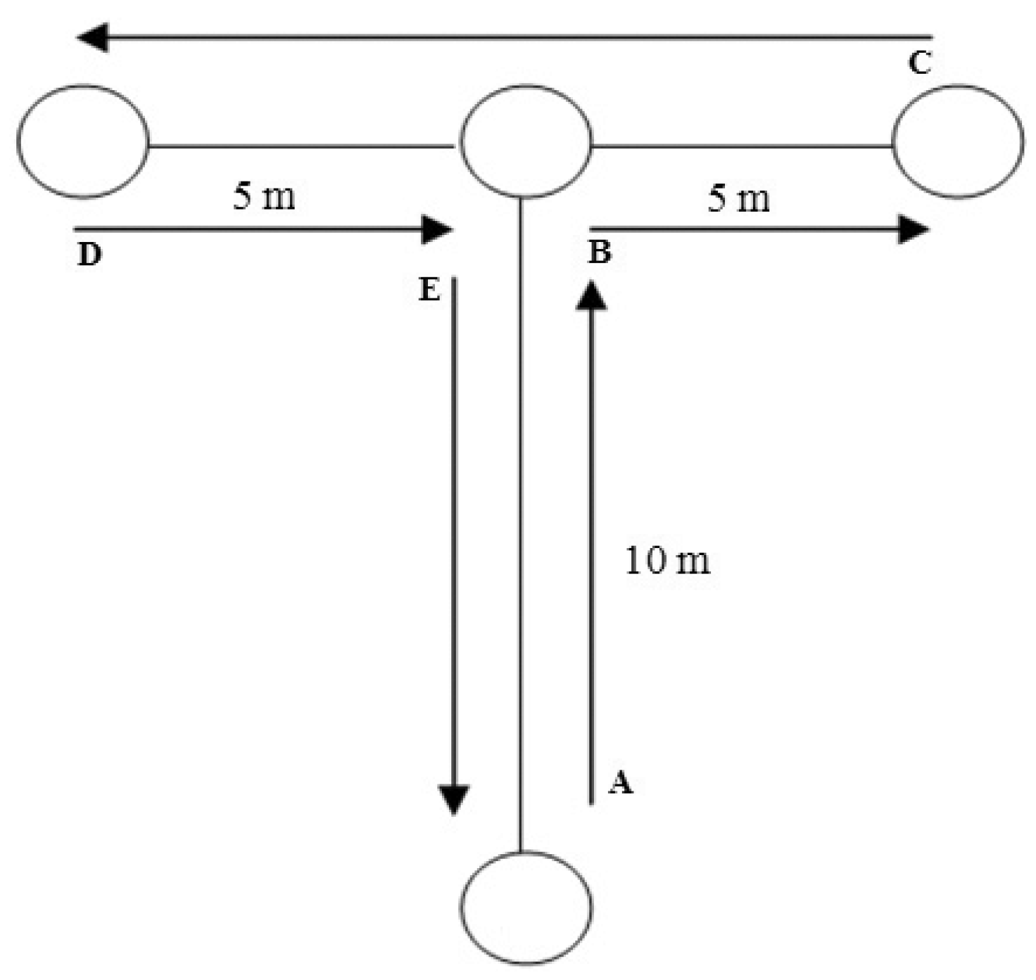 Sports 13 00416 g004