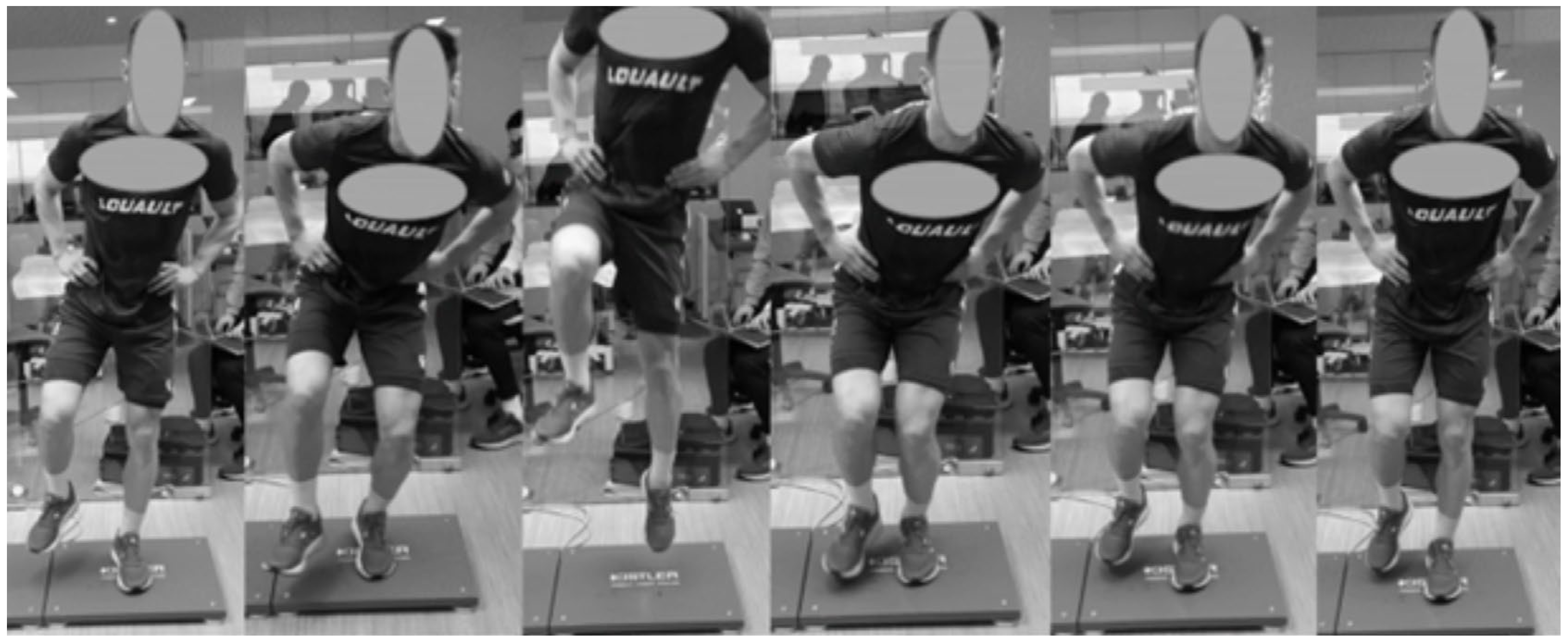 Sports 13 00419 g001