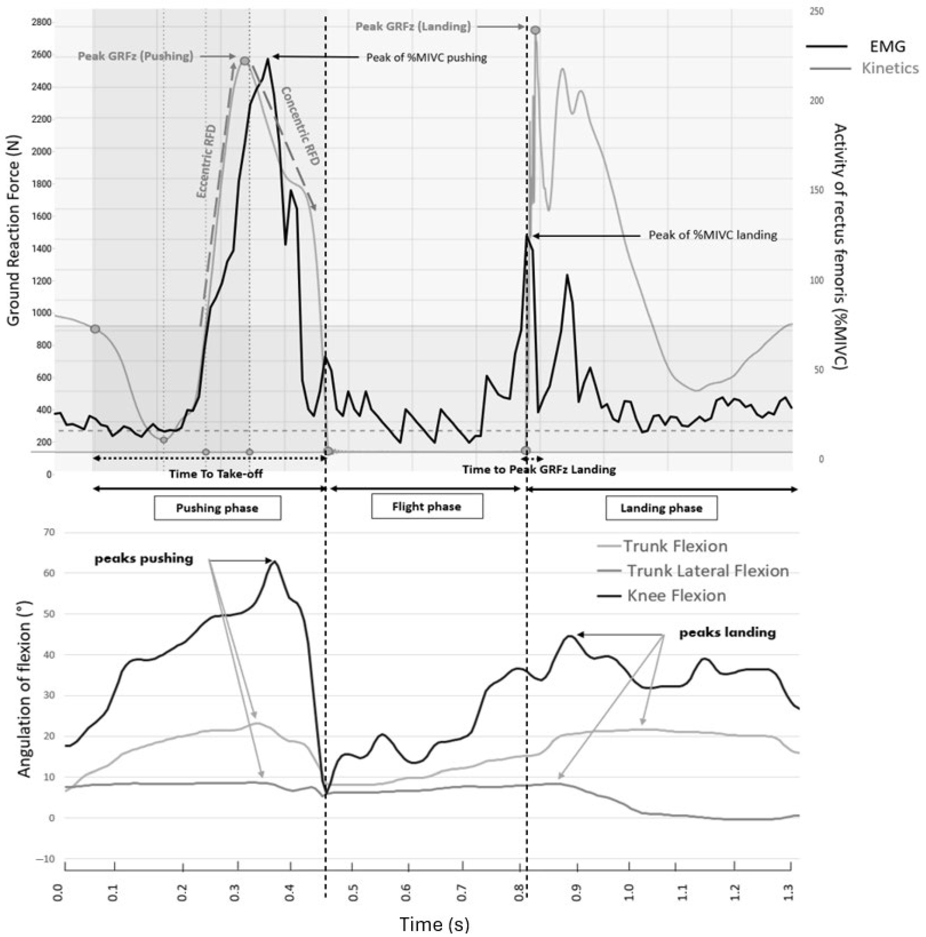 Sports 13 00419 g002